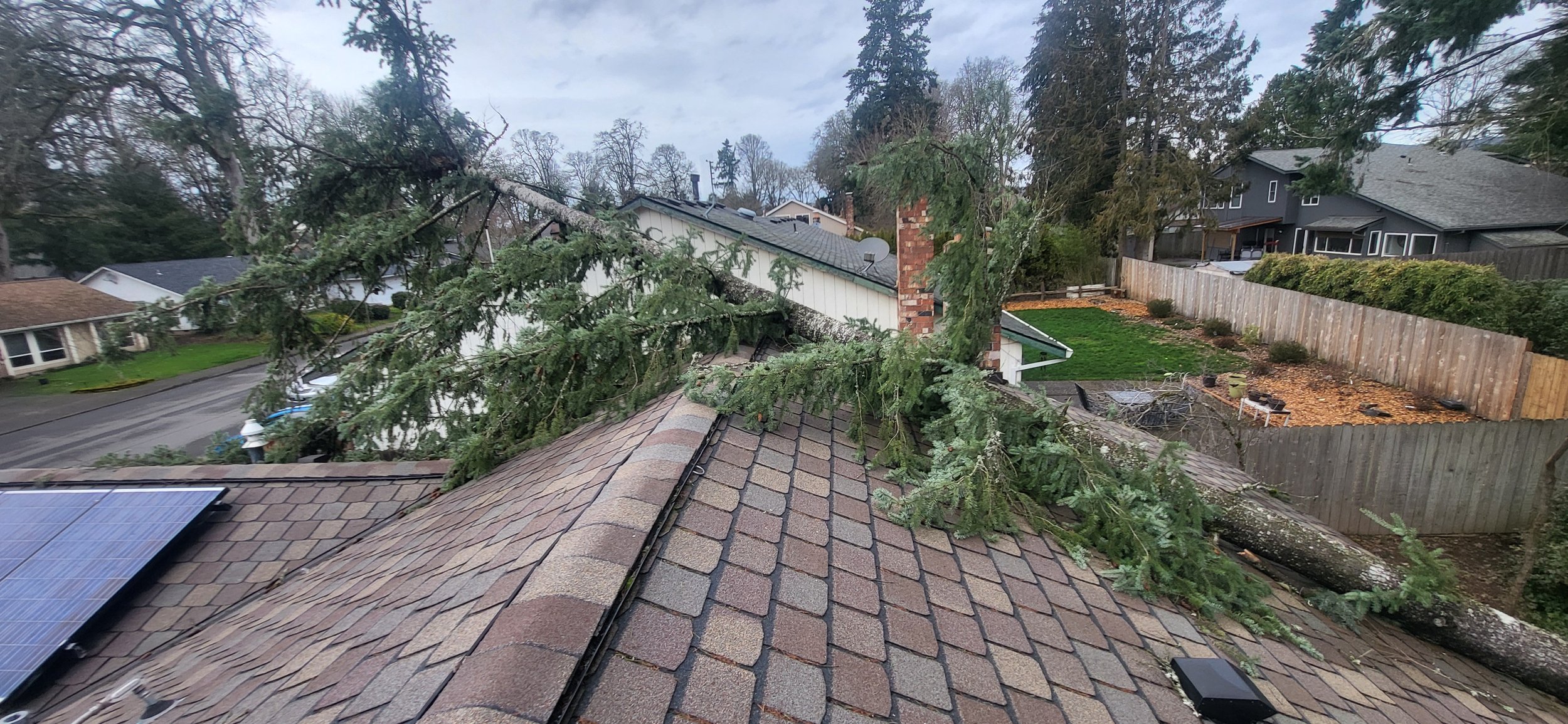 Tree fallen across the roof of a house — emergency tree removal after a storm | North Woods Tree Service