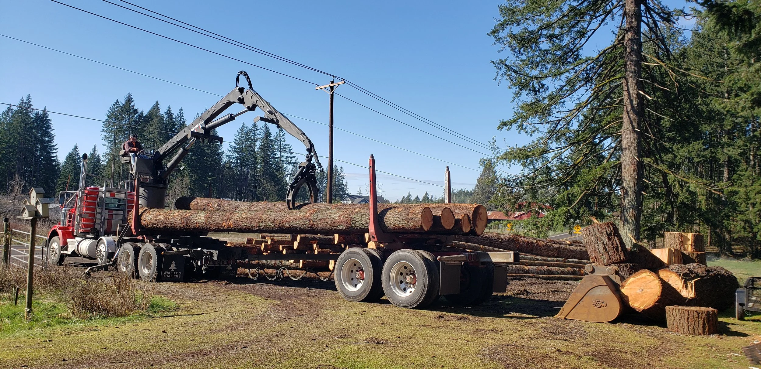 Log truck loaded with harvested timber from a residential property — selective logging | North Woods Tree Service