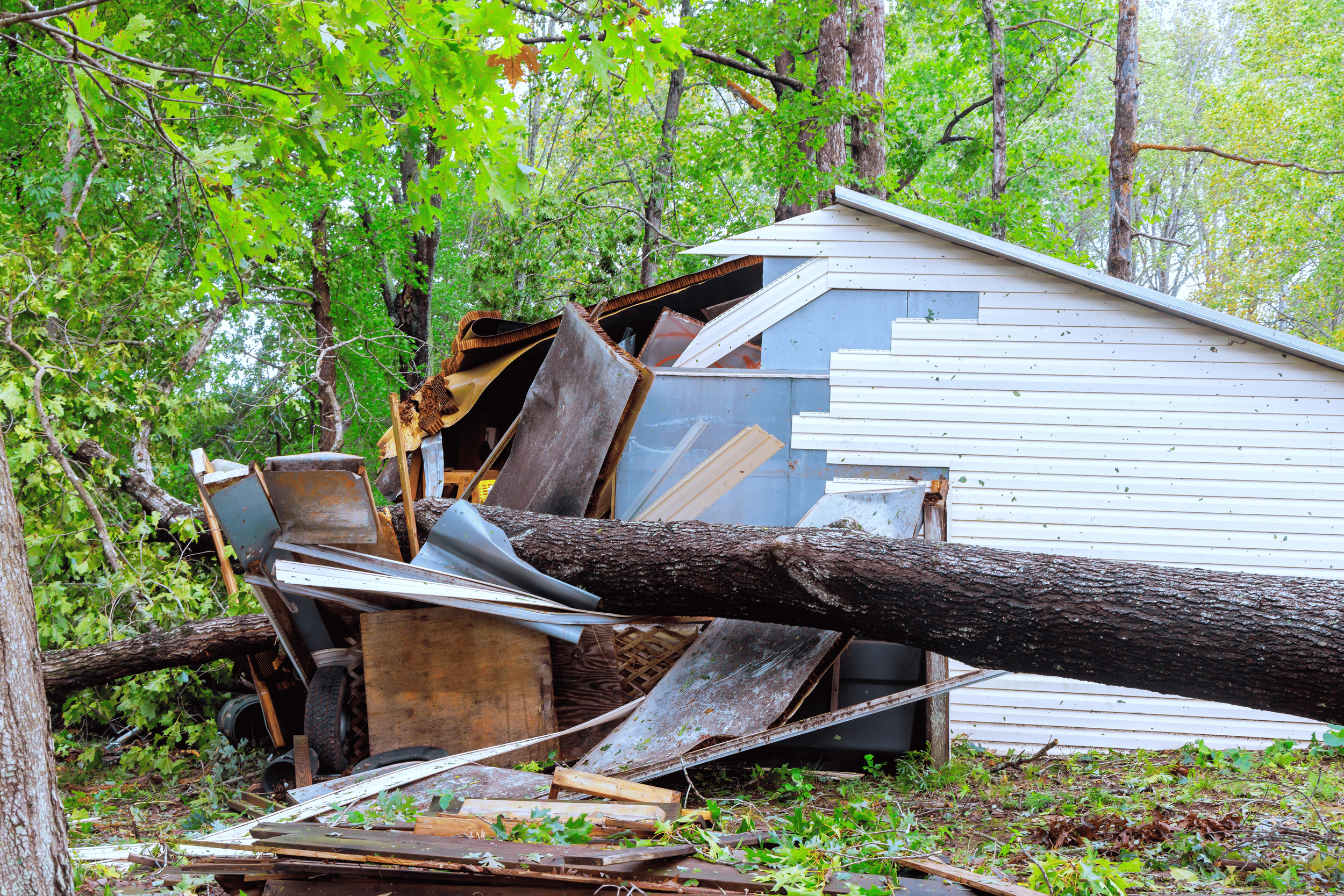 Tree crashed through the corner of a shed and destroyed the roof — emergency tree removal | North Woods Tree Service