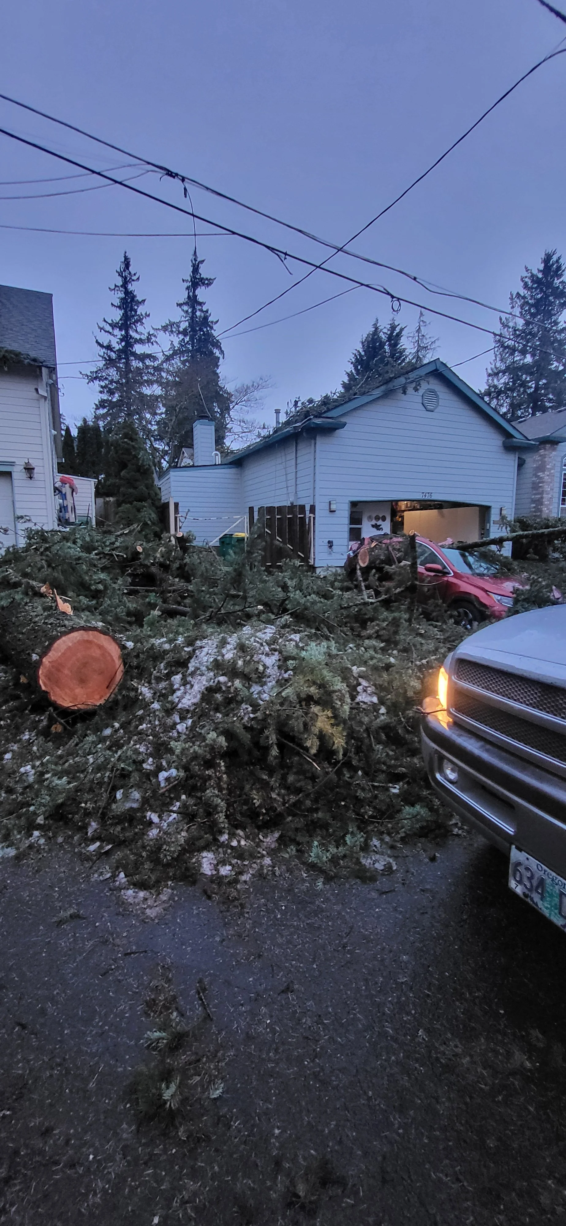 Fallen trees covering a residential front yard with a crushed car during the ice storm that hit in 2024 — emergency tree removal | North Woods Tree Service