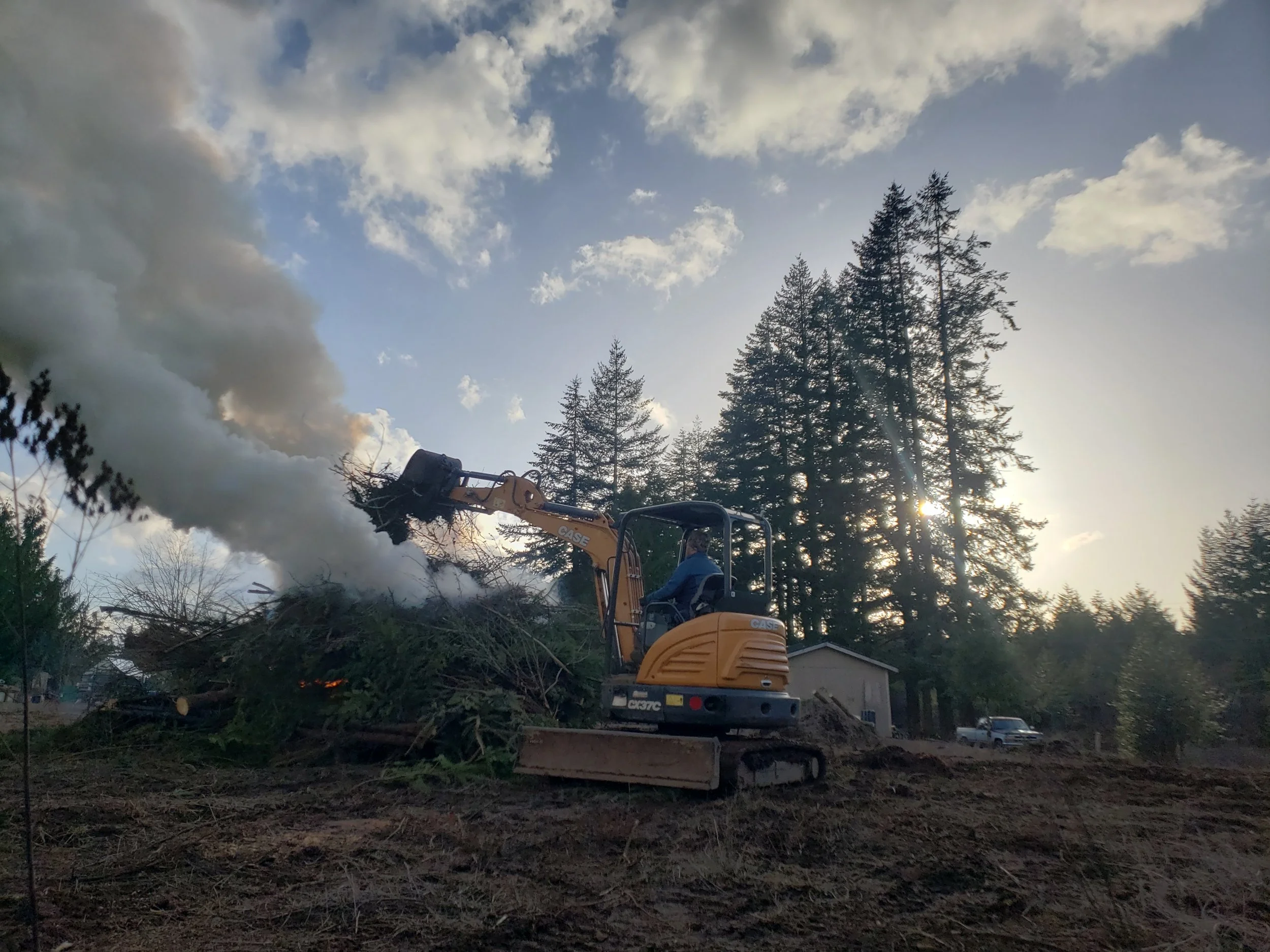 Forested lot being cleared to expand usable property space — land clearing services | North Woods Tree Service