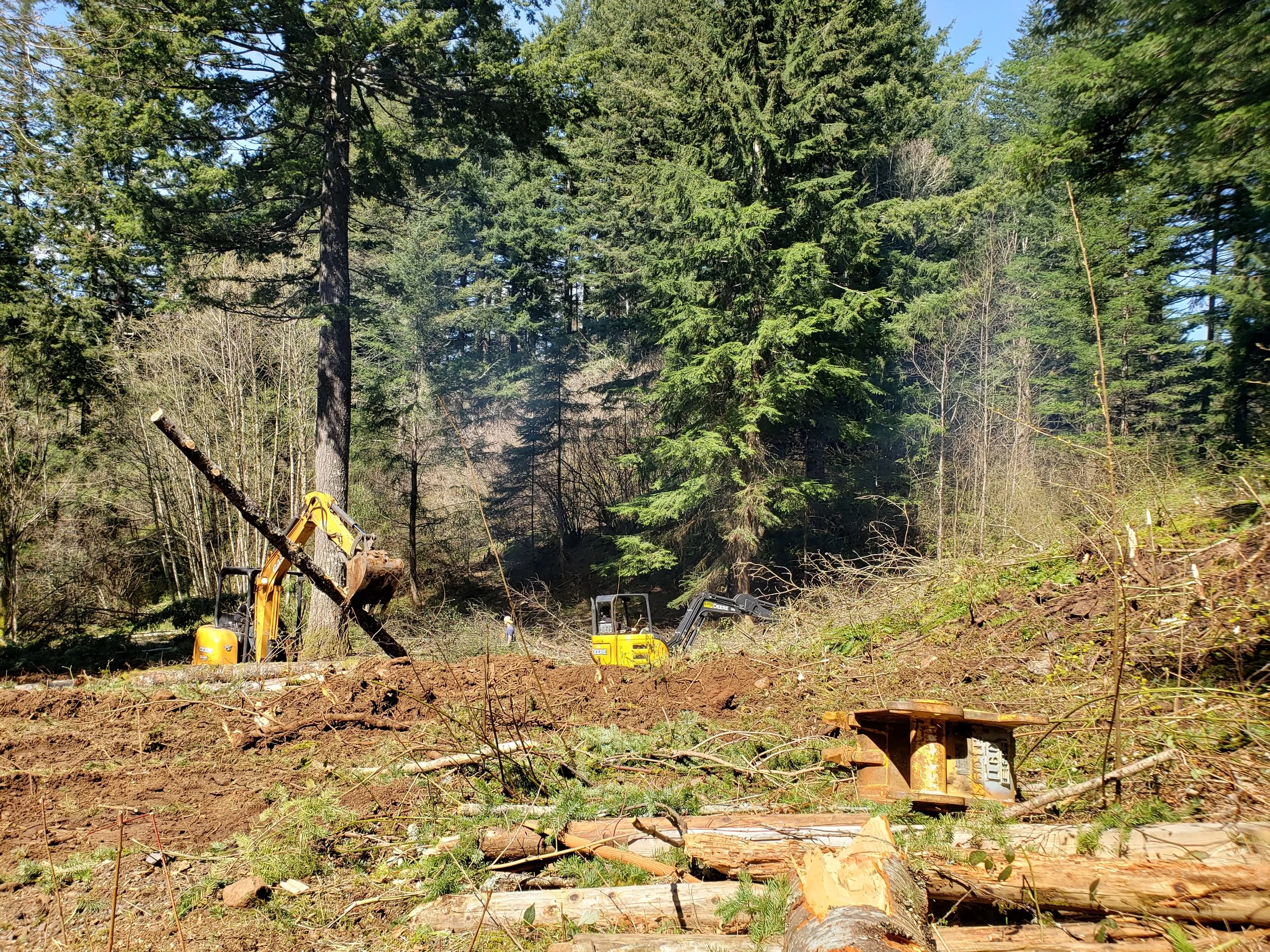Forested area being cleared to open up usable space on a property — land clearing | North Woods Tree Service