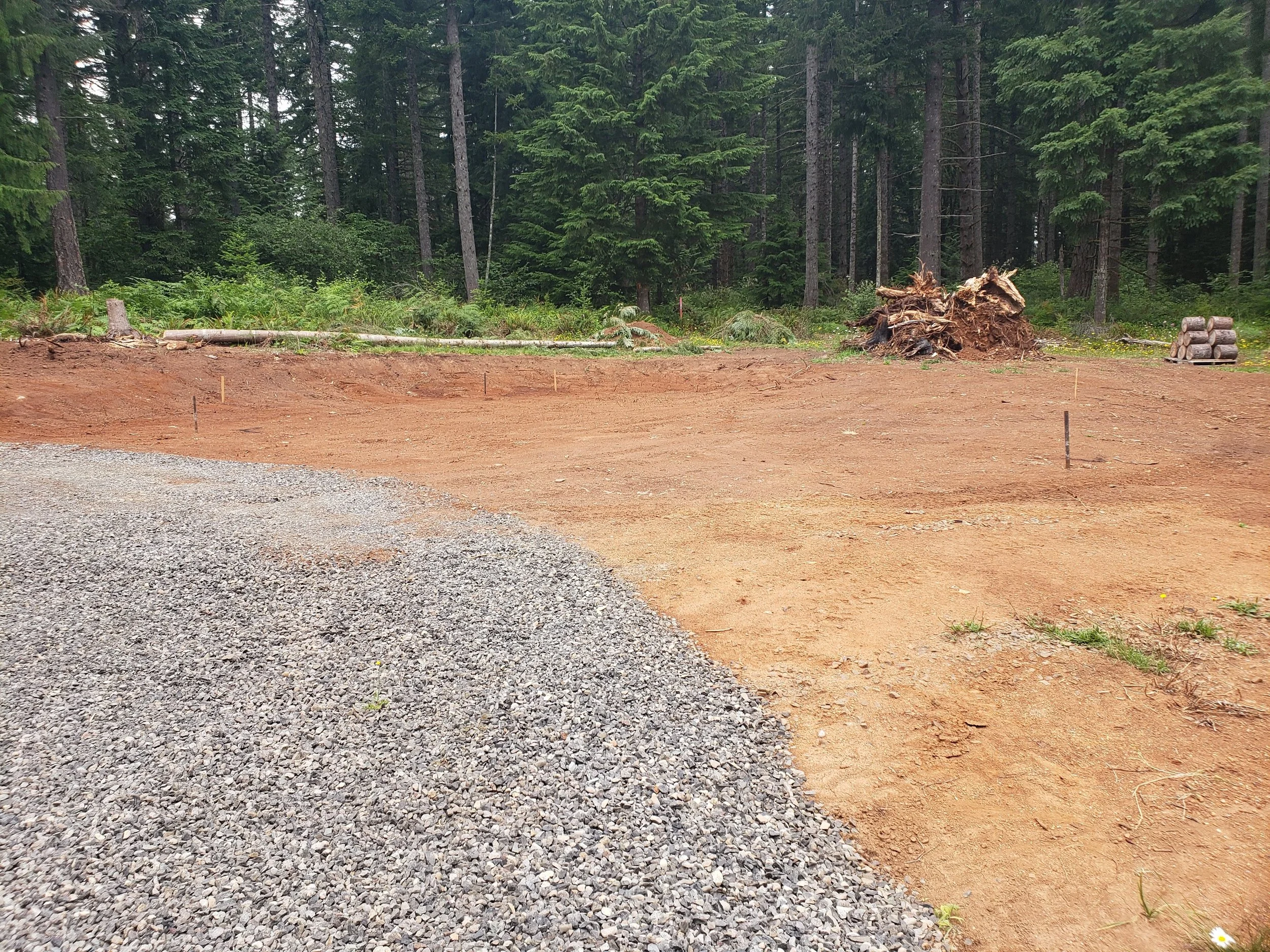 Clearing brush, stumps, and small trees for site preparation — land clearing and site prep | North Woods Tree Service