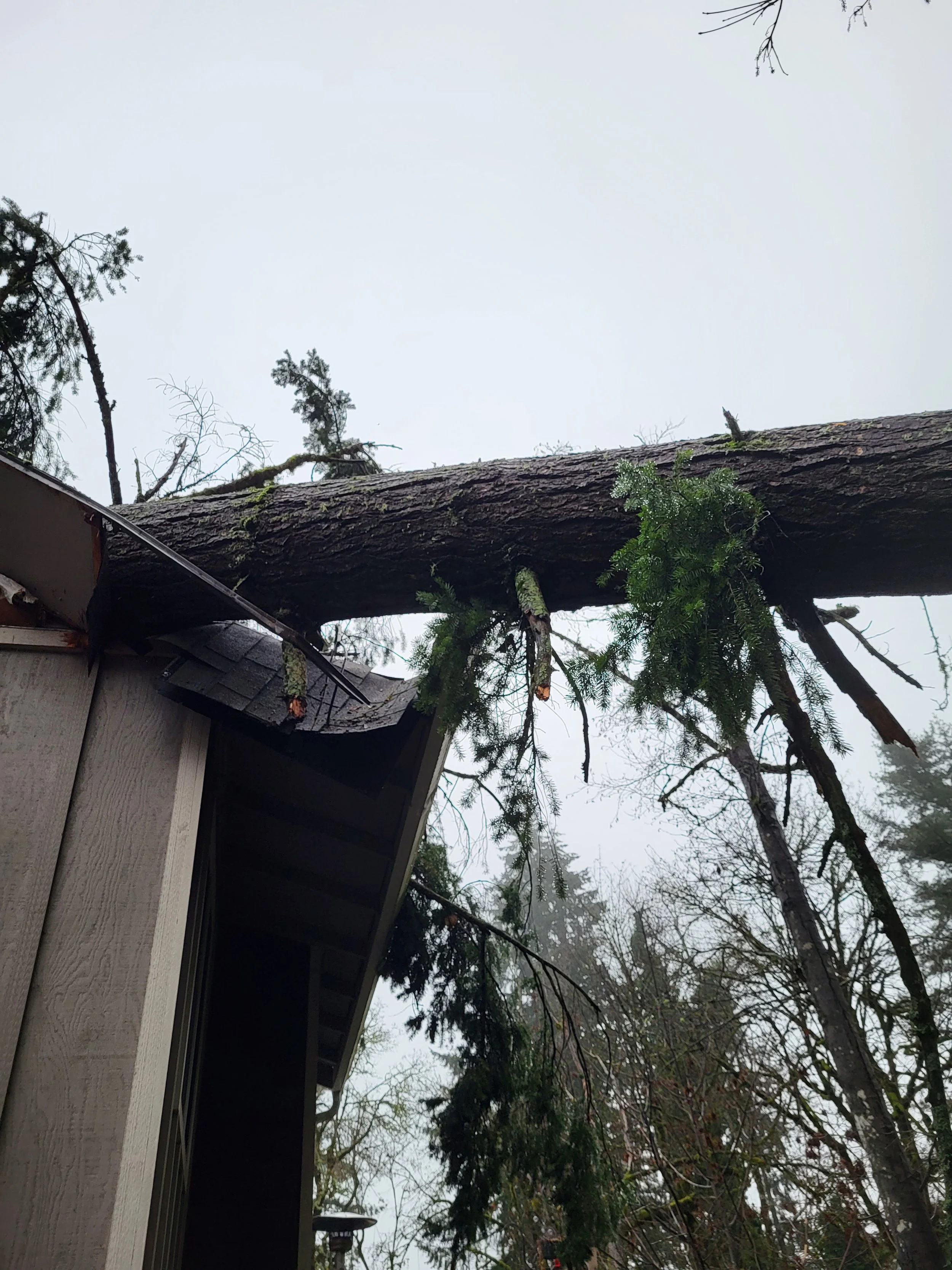 Tree leaning on the corner of a house with a smashed roof — emergency storm damage response | North Woods Tree Service