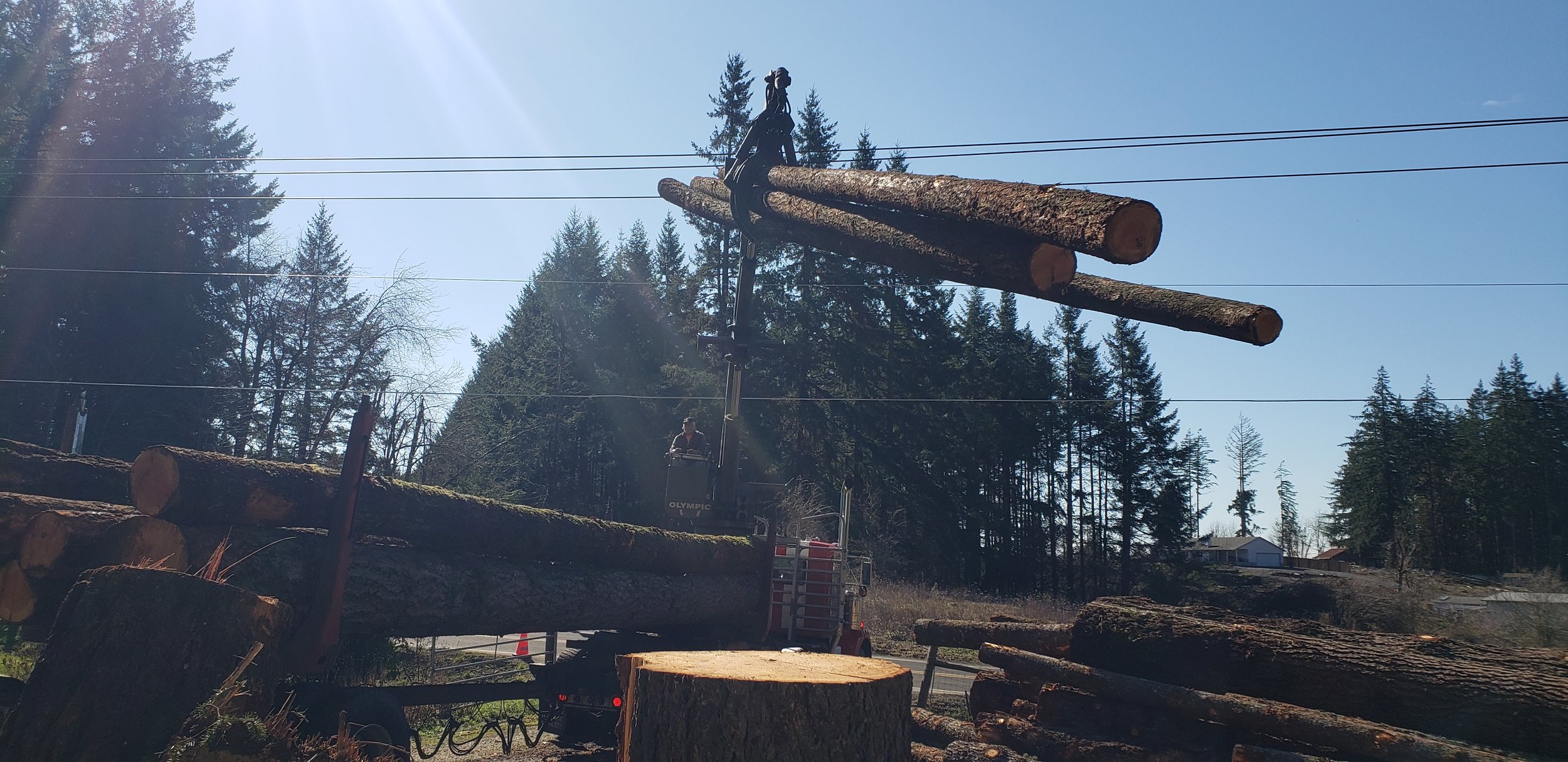 Logs being loaded into a log truck on a residential property — selective logging | North Woods Tree Service