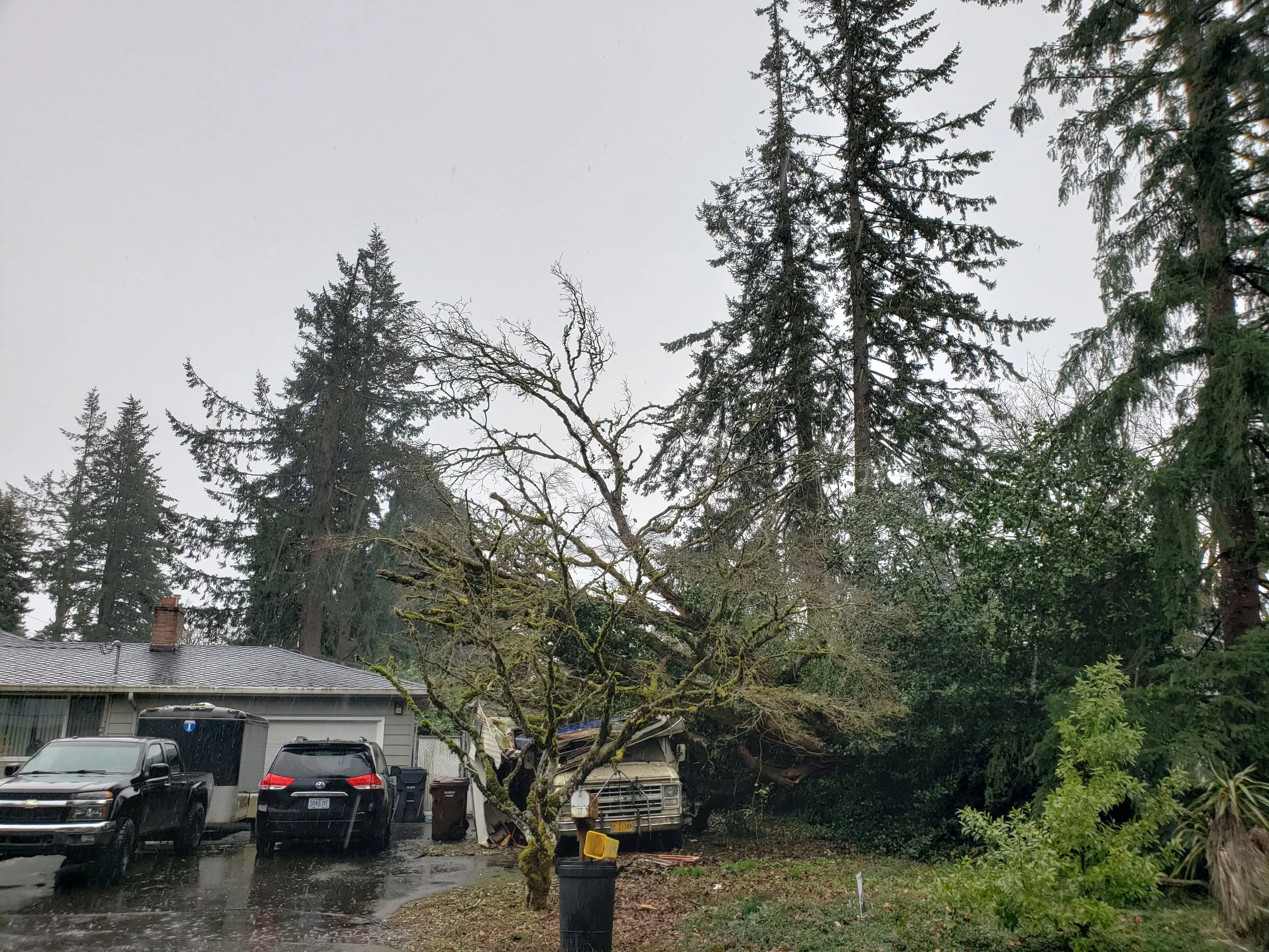 Large tree fallen on top of an RV in a residential yard — emergency tree removal | North Woods Tree Service