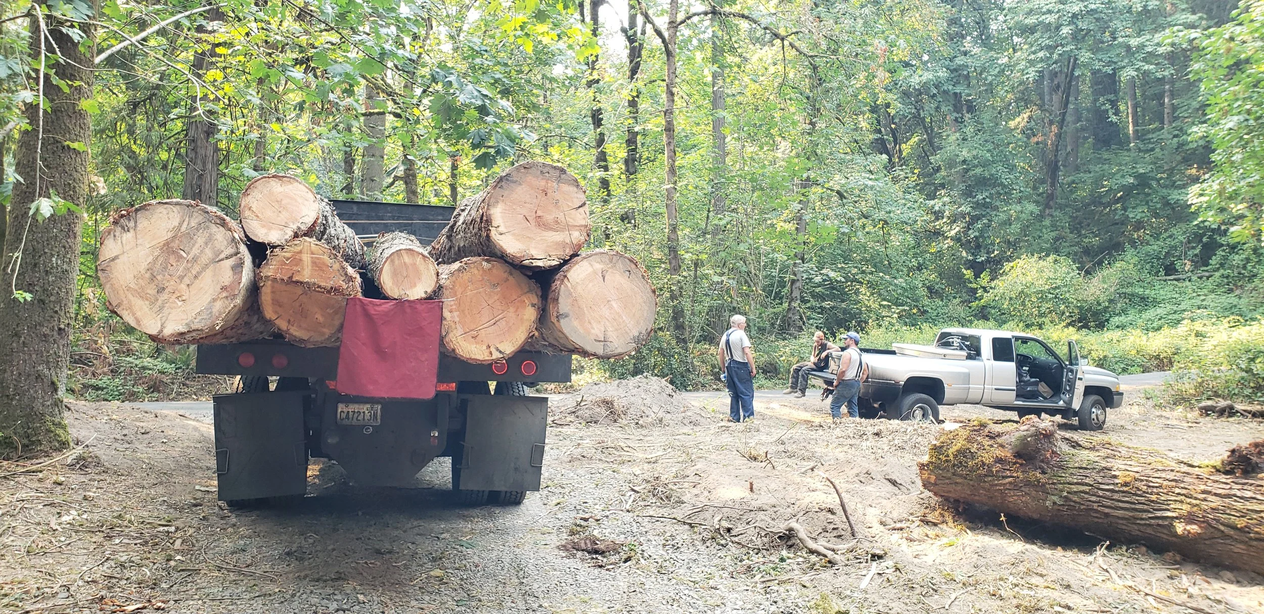 Small log load in the back of a haul truck — ready for transport after a residential logging job | North Woods Tree Service