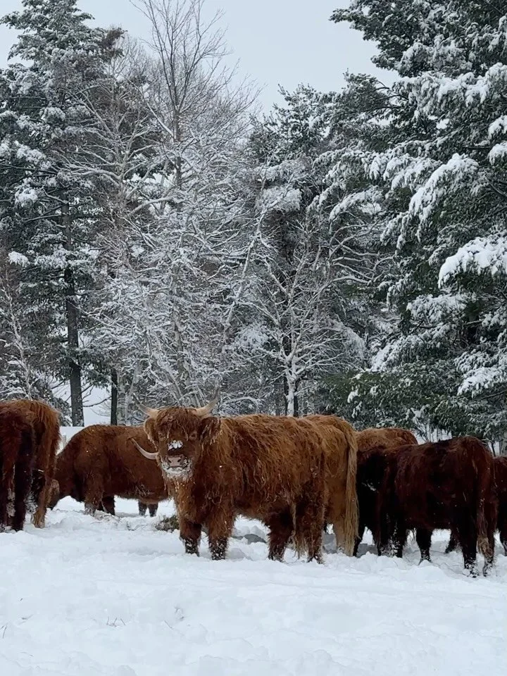 that said, I&rsquo;m ready for spring