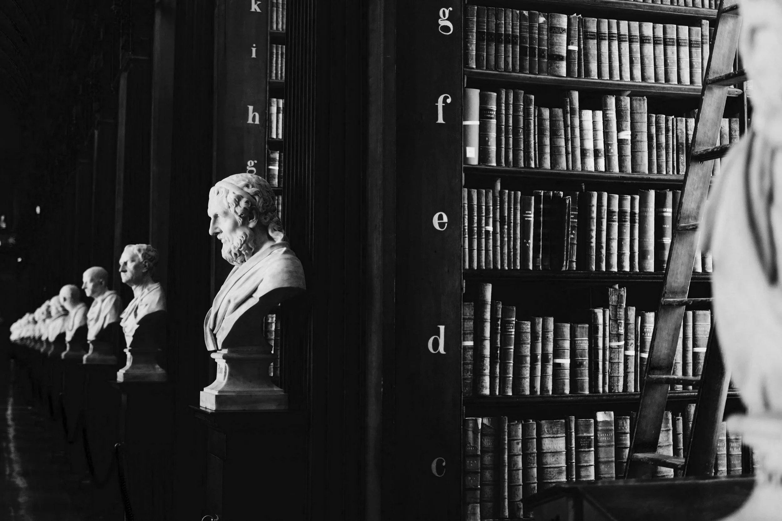 Row of classical bust statues of historical figures on a dark wooden shelf in a library with tall bookshelves filled with old books.