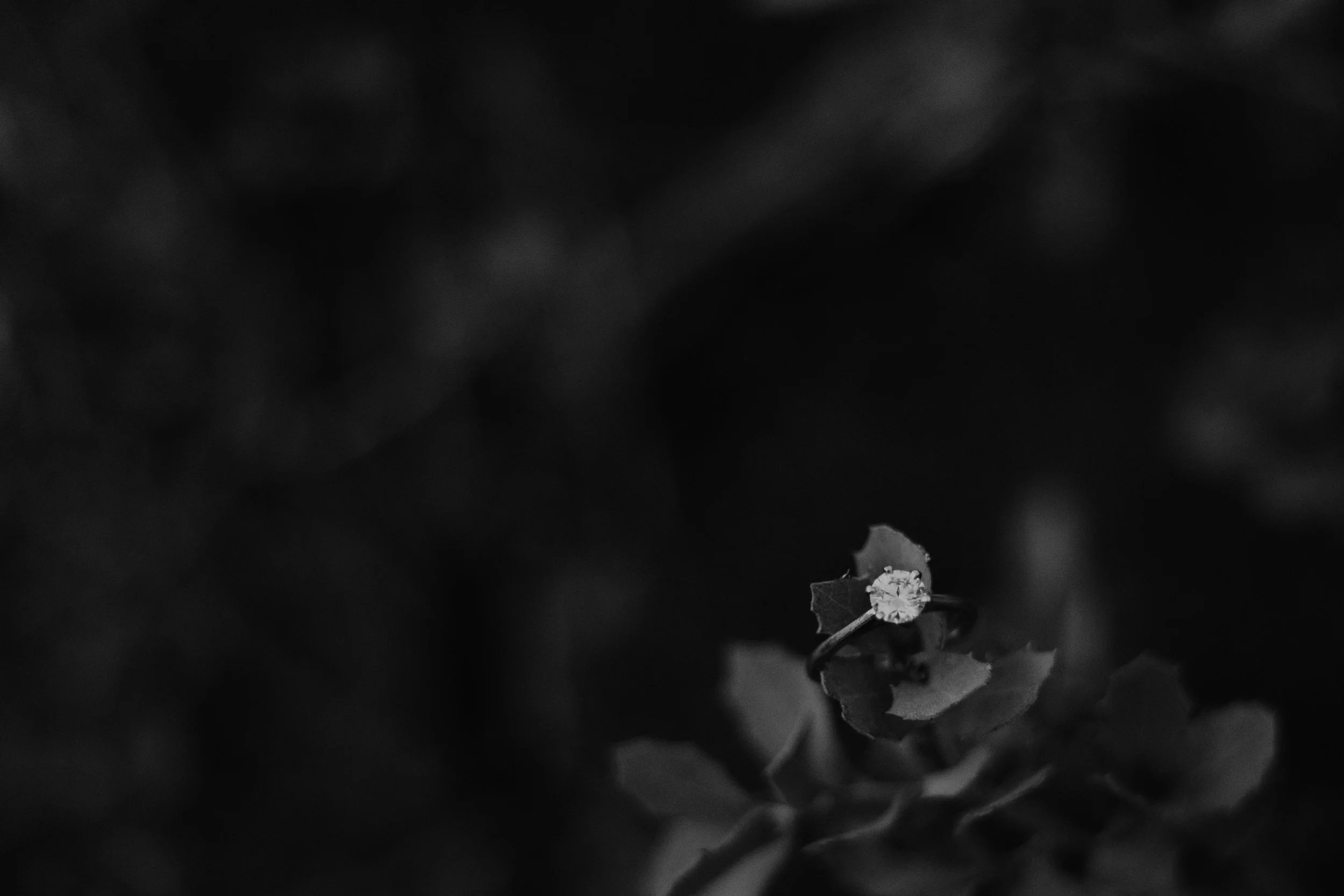 Engagement ring with elegant details, photographed for Forget Me Knot Alaska wedding planner blog