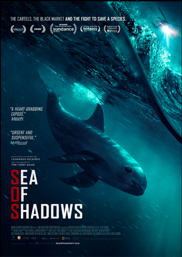 A movie poster for 'Sea of Shadows' featuring a large whale rising out of the water in an ocean scene. The poster includes award laurels at the top and quotes about the film on the left side. The title is prominent with the words 'Sea of Shadows' in bold, with 'Sea' and 'Shadows' in white and 'of' in red. The background depicts a dark, mysterious ocean environment.
