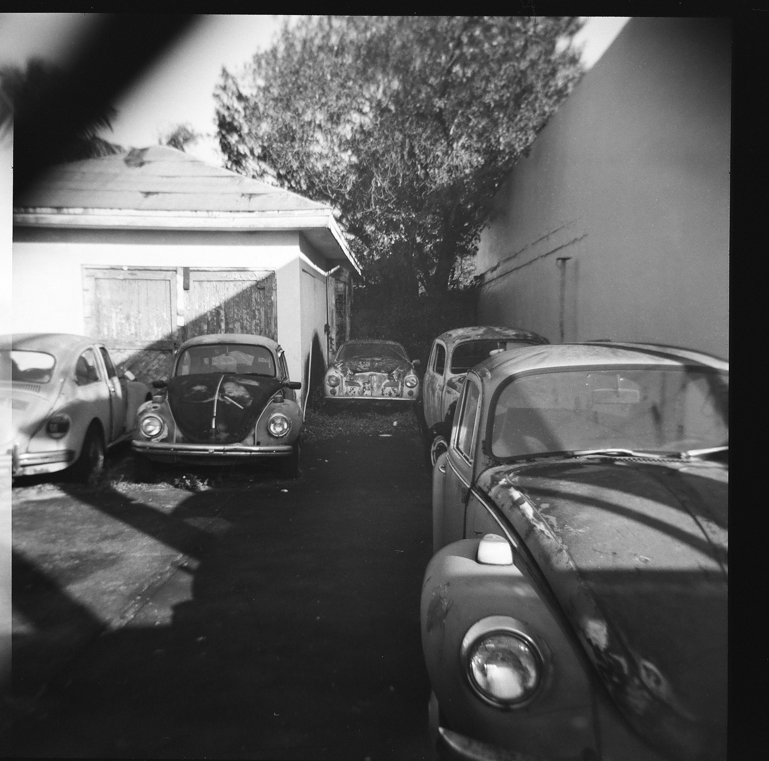 Black and white photo of several old cars parked in a driveway with a garage and a large tree in the background.