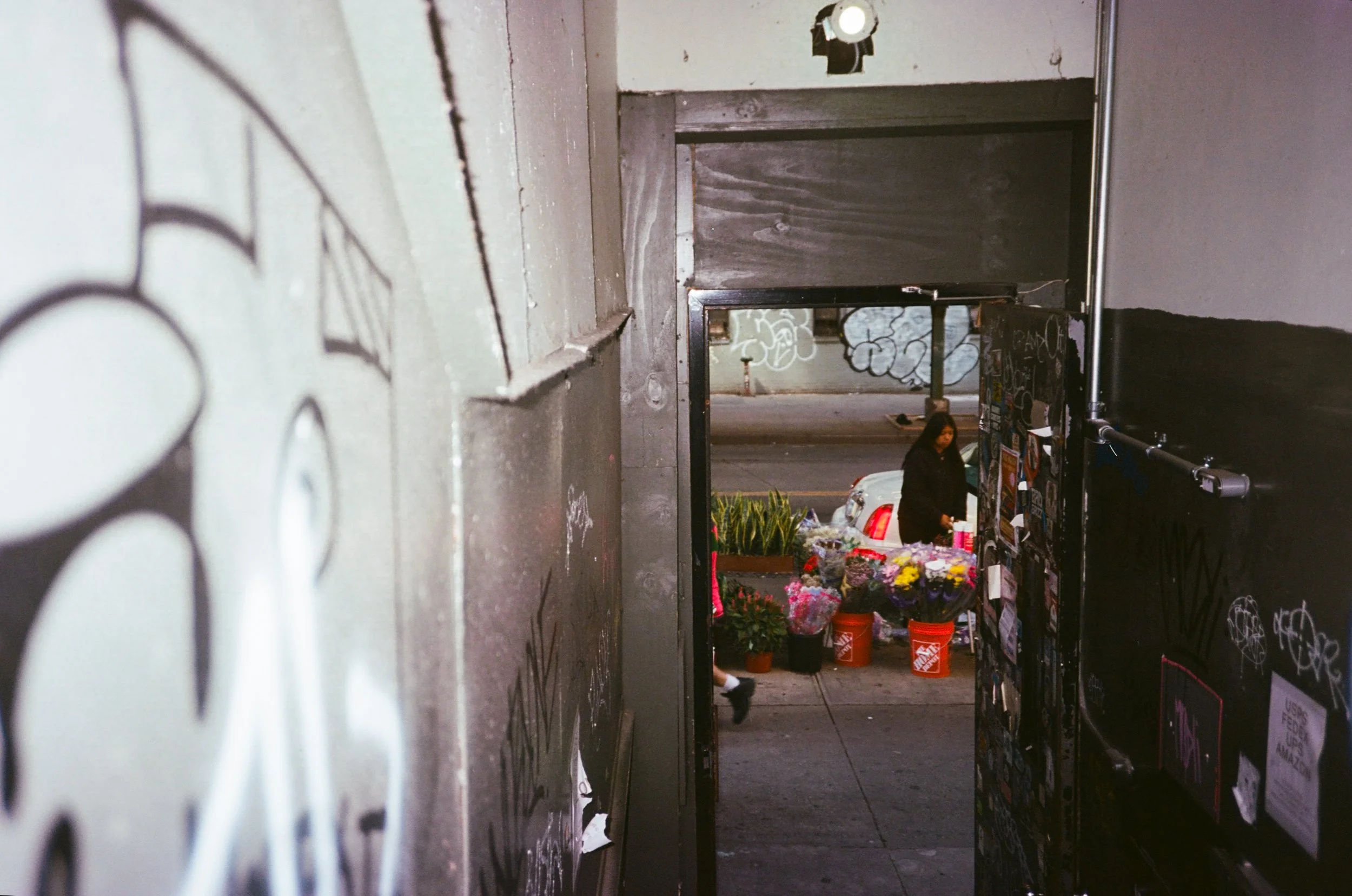 View through a doorway into an outdoor flower stand with flowers in buckets, a woman browsing, graffiti on the walls.