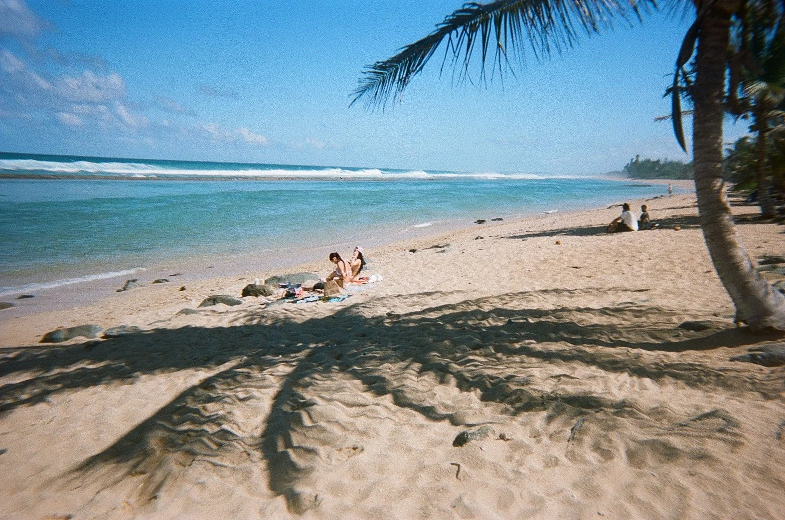 A tropical beach scene with palm trees casting shadows on the sandy shore, with a few people relaxing and sitting on the beach near the water.
