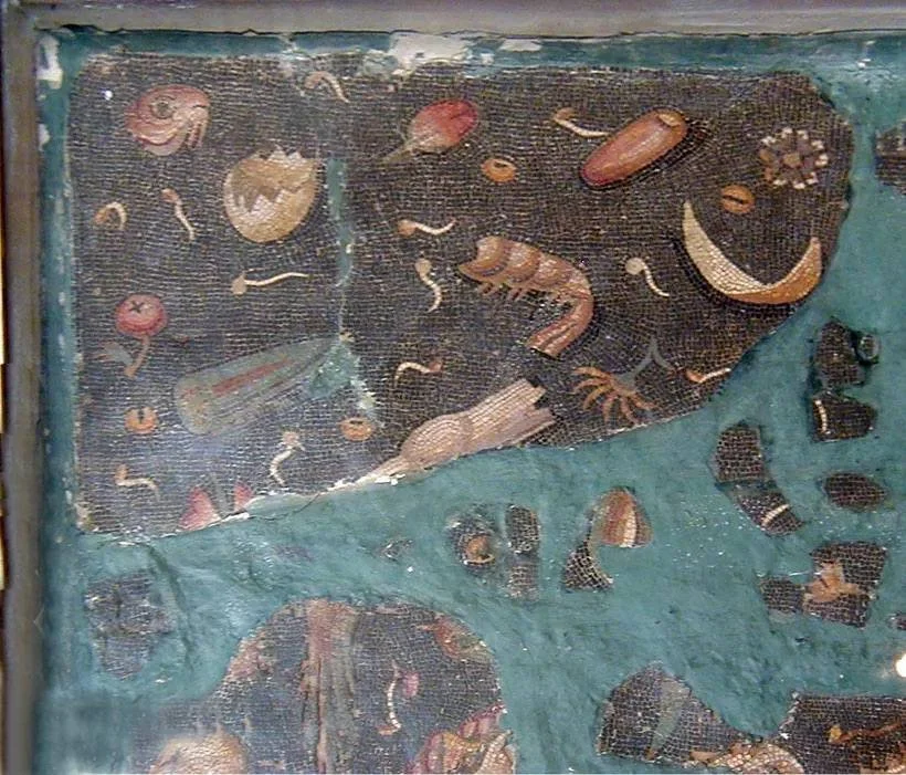 photo_2025-11-12 16.11.04.jpeg