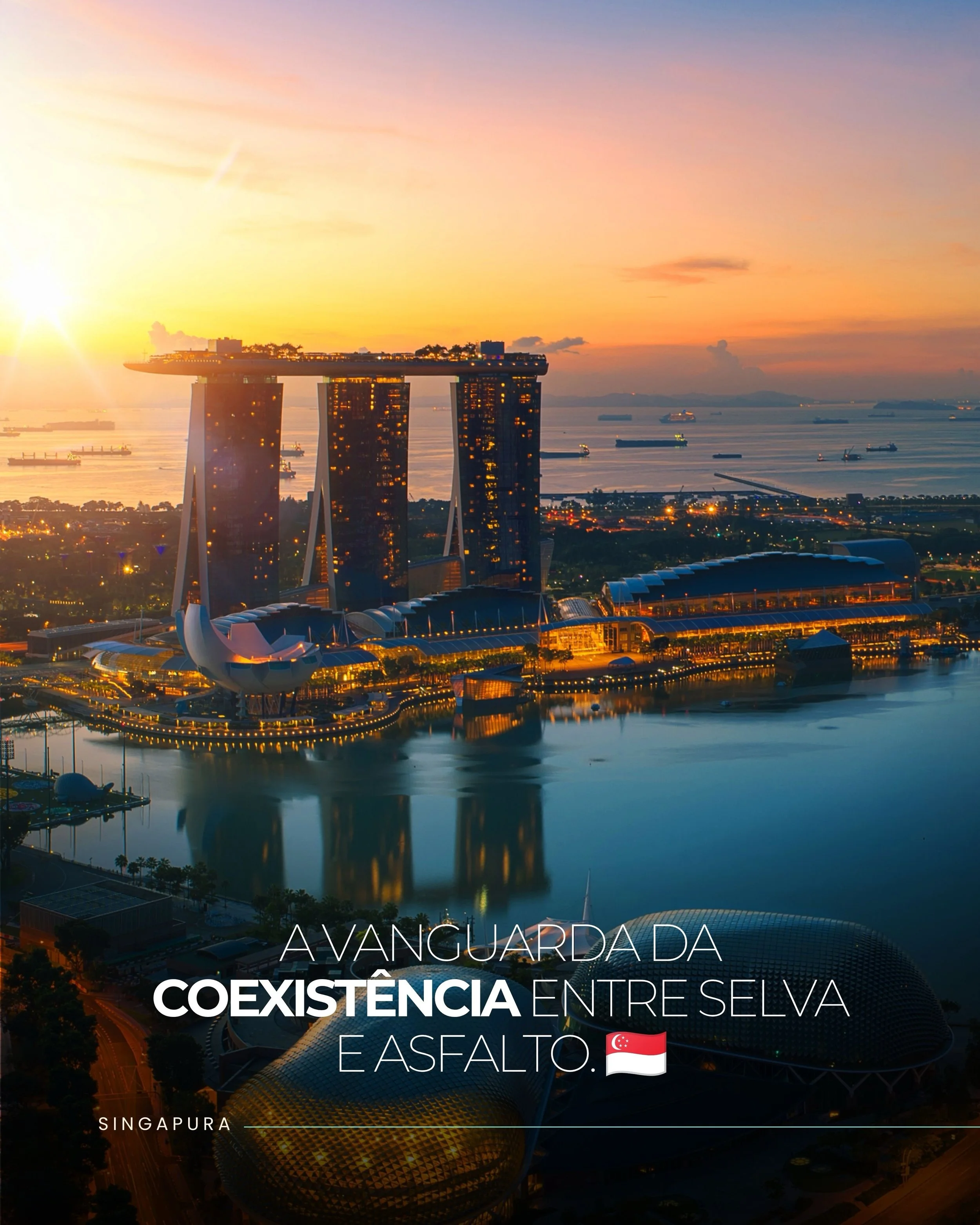 Singapura personifica as conex&otilde;es invis&iacute;veis entre o desenvolvimento tecnol&oacute;gico e a exuber&acirc;ncia tropical. A cidade-estado fundiu o concreto com a selva, estabelecendo-se como uma refer&ecirc;ncia de impacto positivo e desi