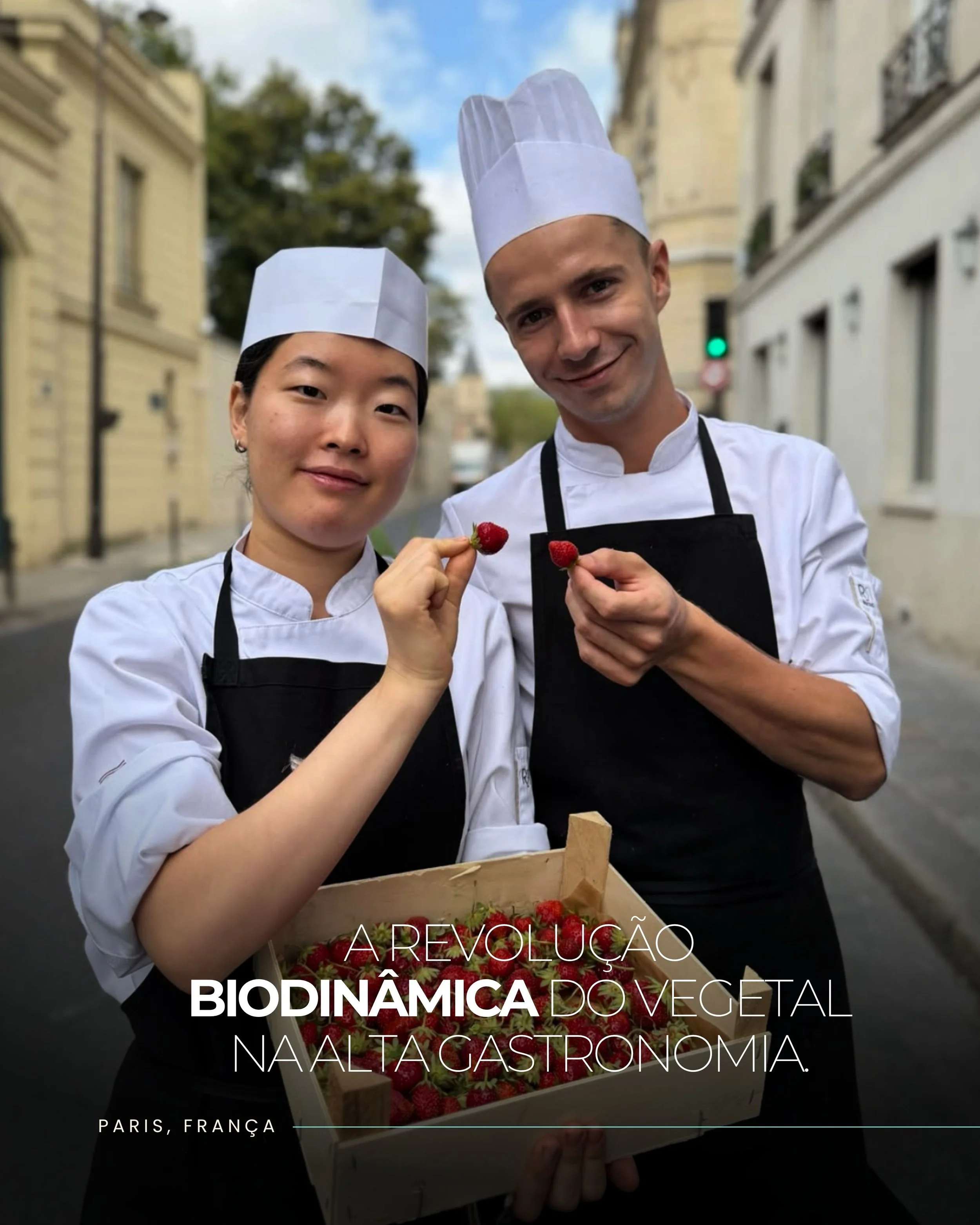 No cora&ccedil;&atilde;o da Rive Gauche, o L&rsquo;Arp&egrave;ge representa uma das express&otilde;es mais singulares da alta gastronomia francesa.

Sob a assinatura de Alain Passard, o restaurante tr&ecirc;s estrelas Michelin fez dos vegetais uma li