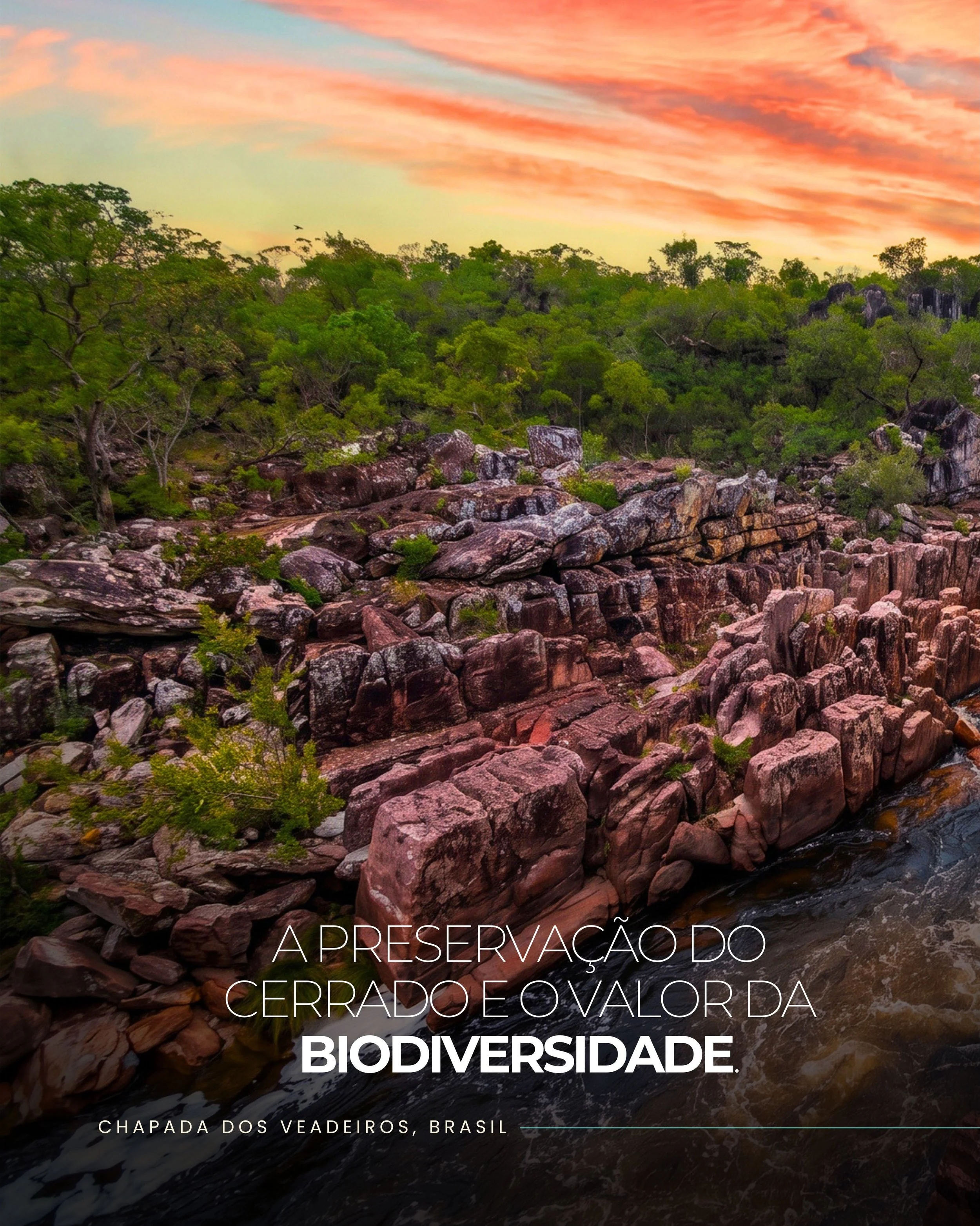 O Cerrado brasileiro abriga uma das biodiversidades mais antigas e ricas do planeta, e a Chapada dos Veadeiros desponta como o epicentro do turismo de conserva&ccedil;&atilde;o nacional. 

A chegada de hospedagens focadas em arquitetura de baixo impa