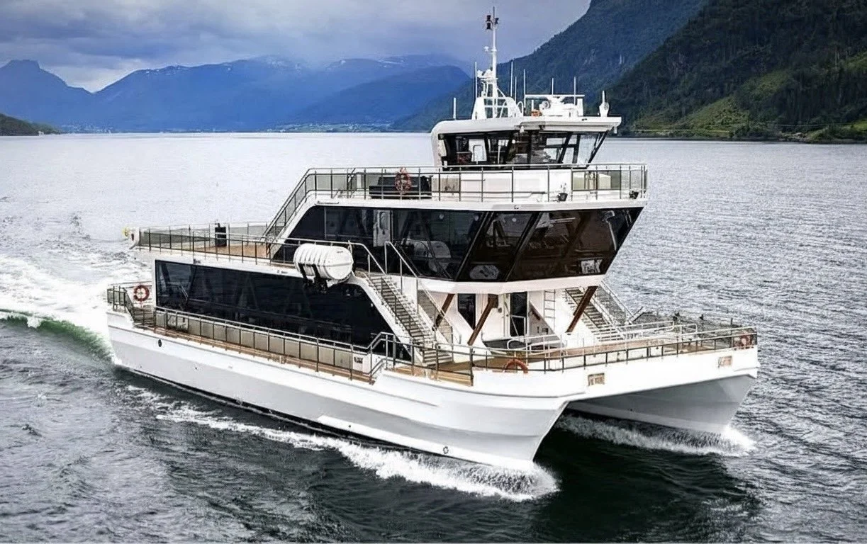 The NSS Paradox: Sovereignty at the Cost of Maritime Efficiency