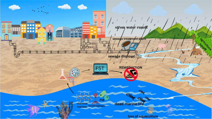 Diagram of urban sewage treatment, stormwater runoff, and their impact on marine life, showing sewage pipes, treatment plants, water discharge into the ocean, and effects such as dead marine life, chemical markers, bacteria, and loss of aquaculture.