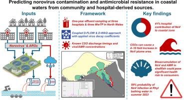 Infographic about predicting norovirus contamination and antimicrobial resistance in coastal waters, showing data inputs, framework details, key findings, and visual representations of water sources, contamination pathways, and case studies.
