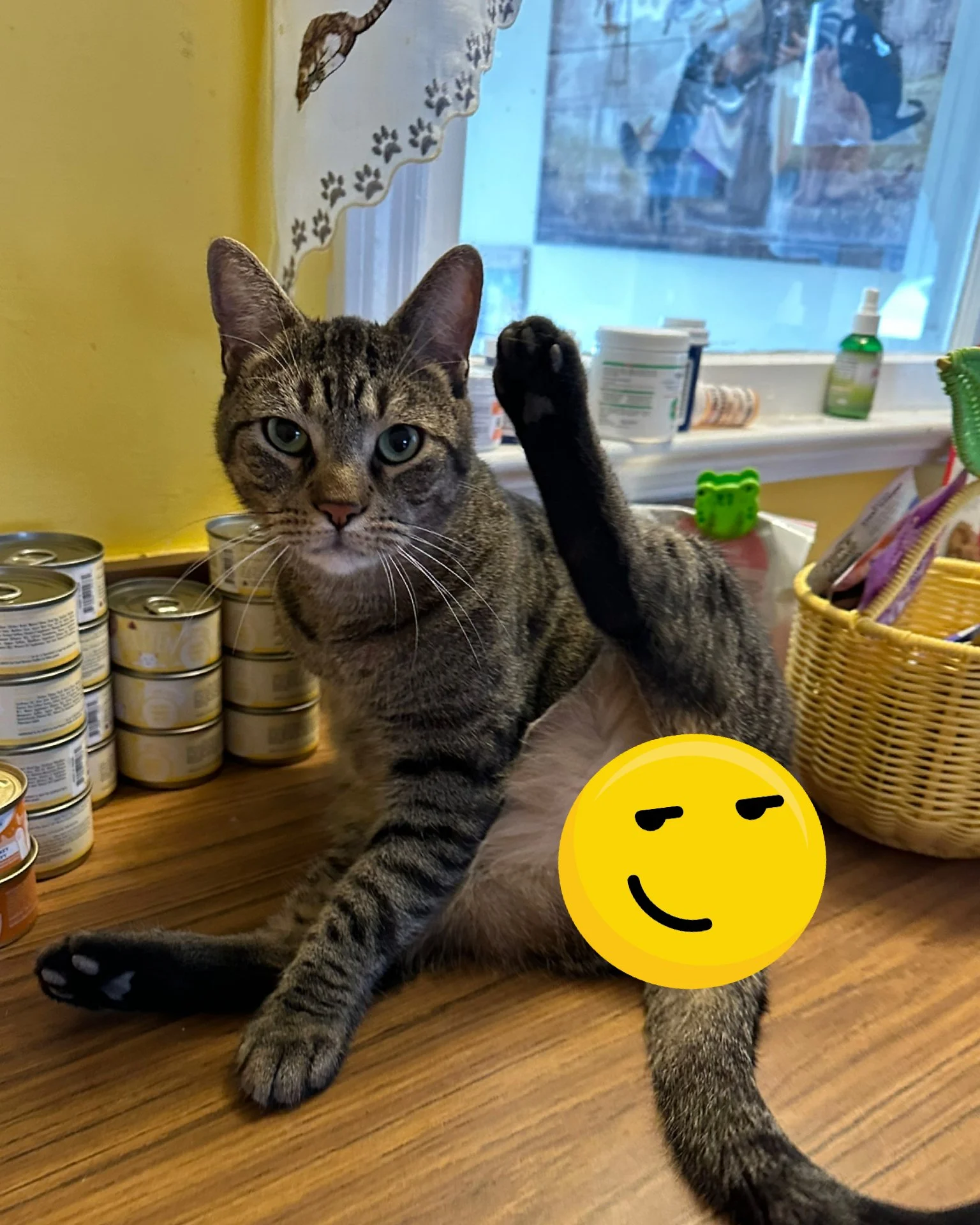 Close-up of a tabby cat lying on a white, fluffy surface with a pink background.