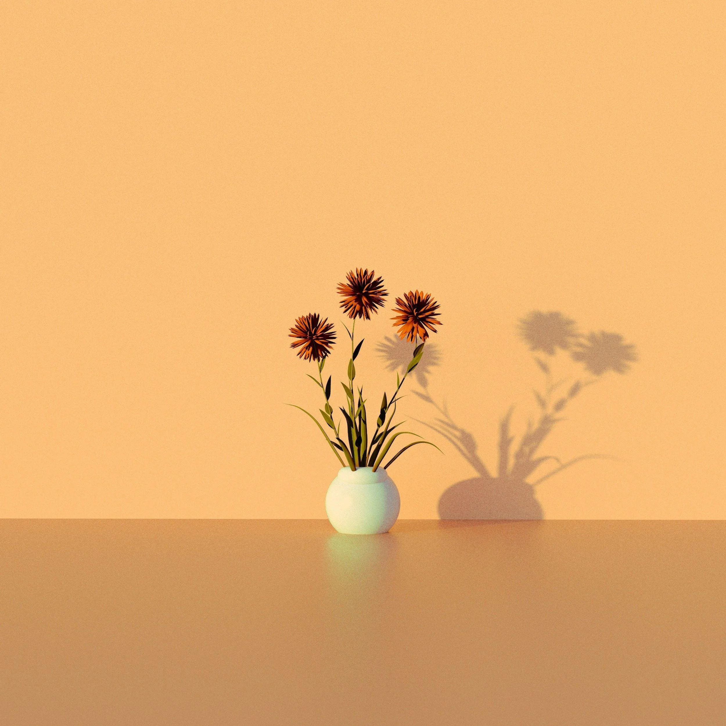 Fleurs orange dans un vase blanc, soleil créant une ombre sur le mur