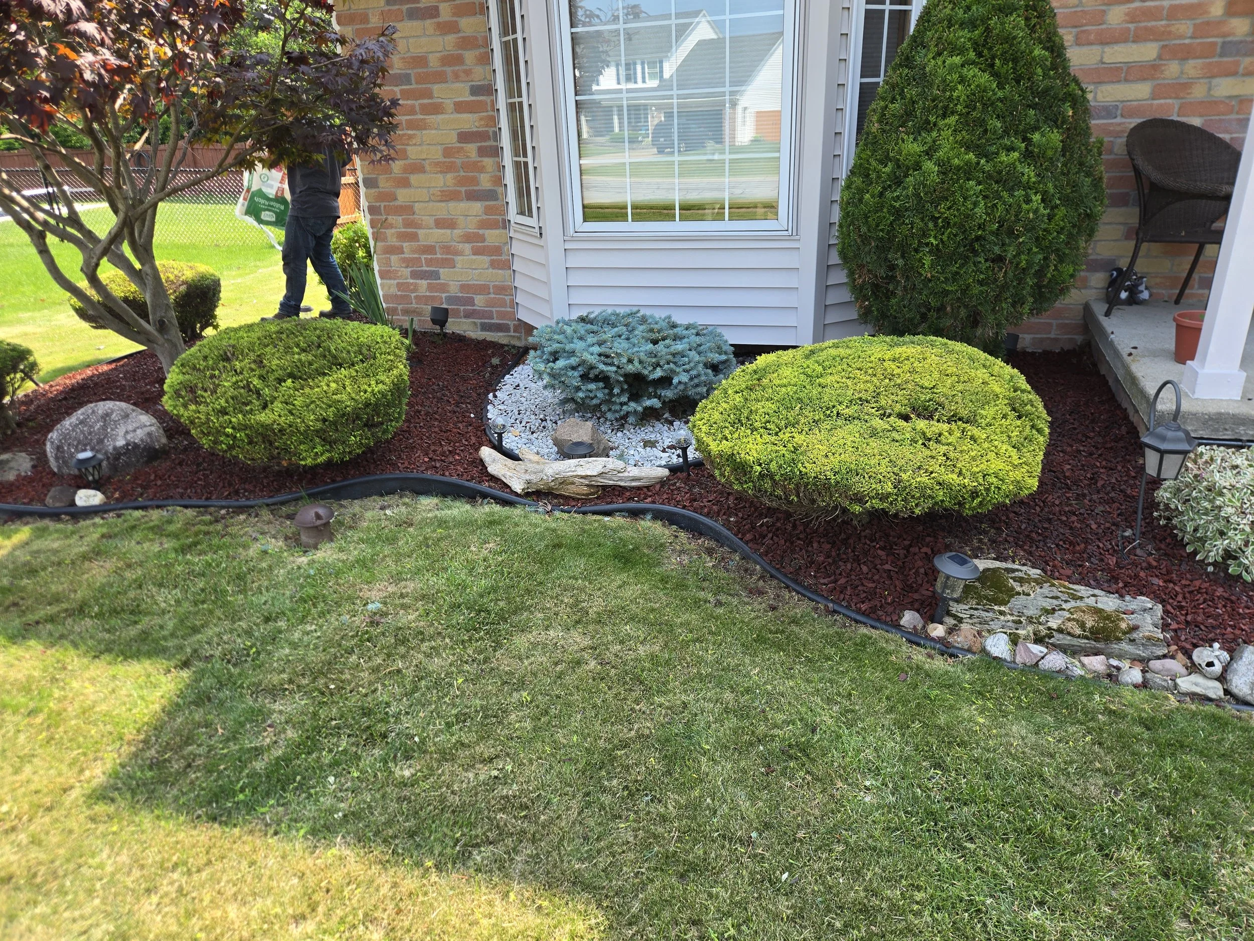 Front yard garden with neatly trimmed bushes, small decorative rocks, landscape lighting, a tree on the left, and a person in the background carrying a bag.