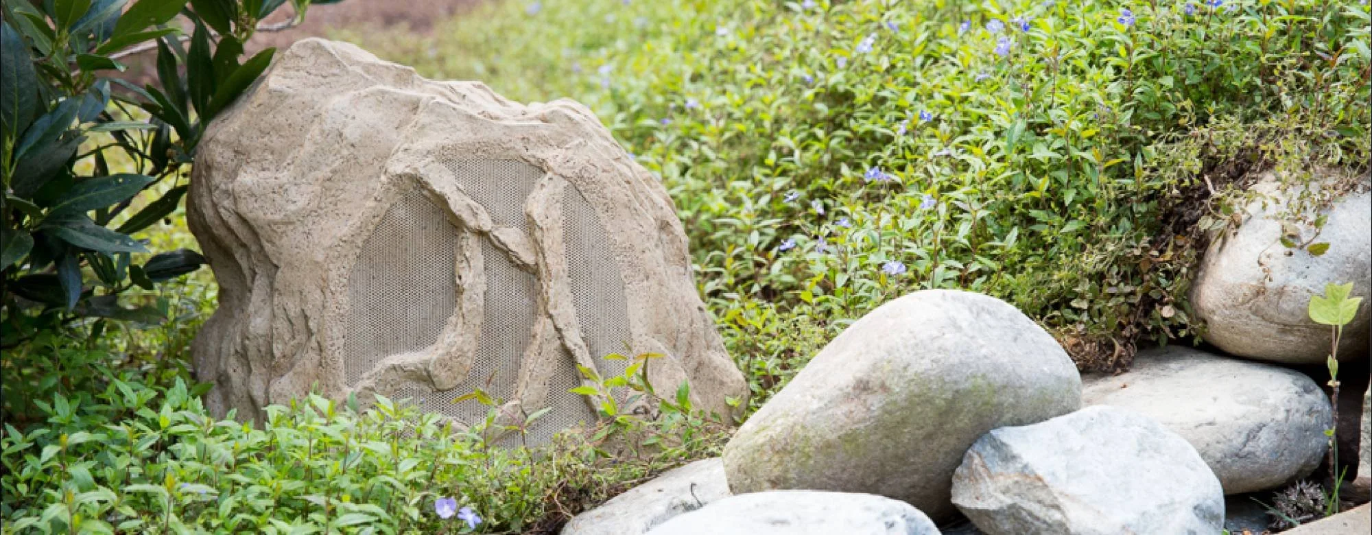 Episode outroor rock speaker.jpg