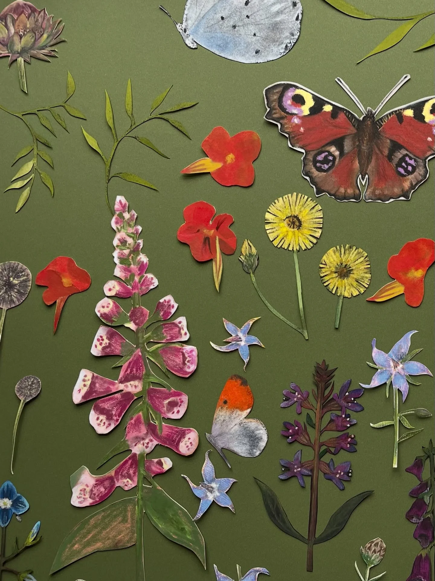 Assembling garden map illustrations 🦋🌻🐛#gardenillustration #thisisanark #irishillustrator #illustration #illustration #nature #botanicalillustrations #mapillustration