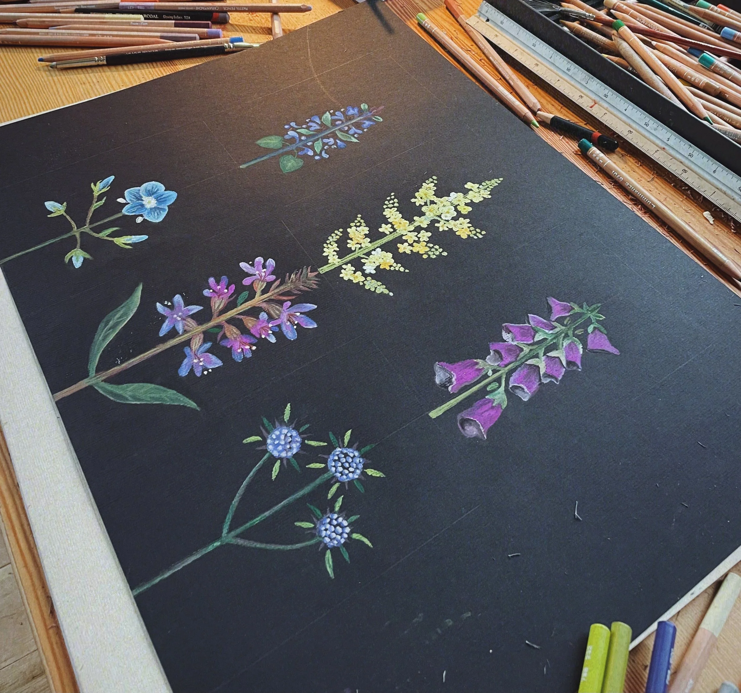 A detailed illustration of various colourful native Irish wildflowers on a black background, with art supplies such as coloured pencils, pens, and pastels on a wooden table.