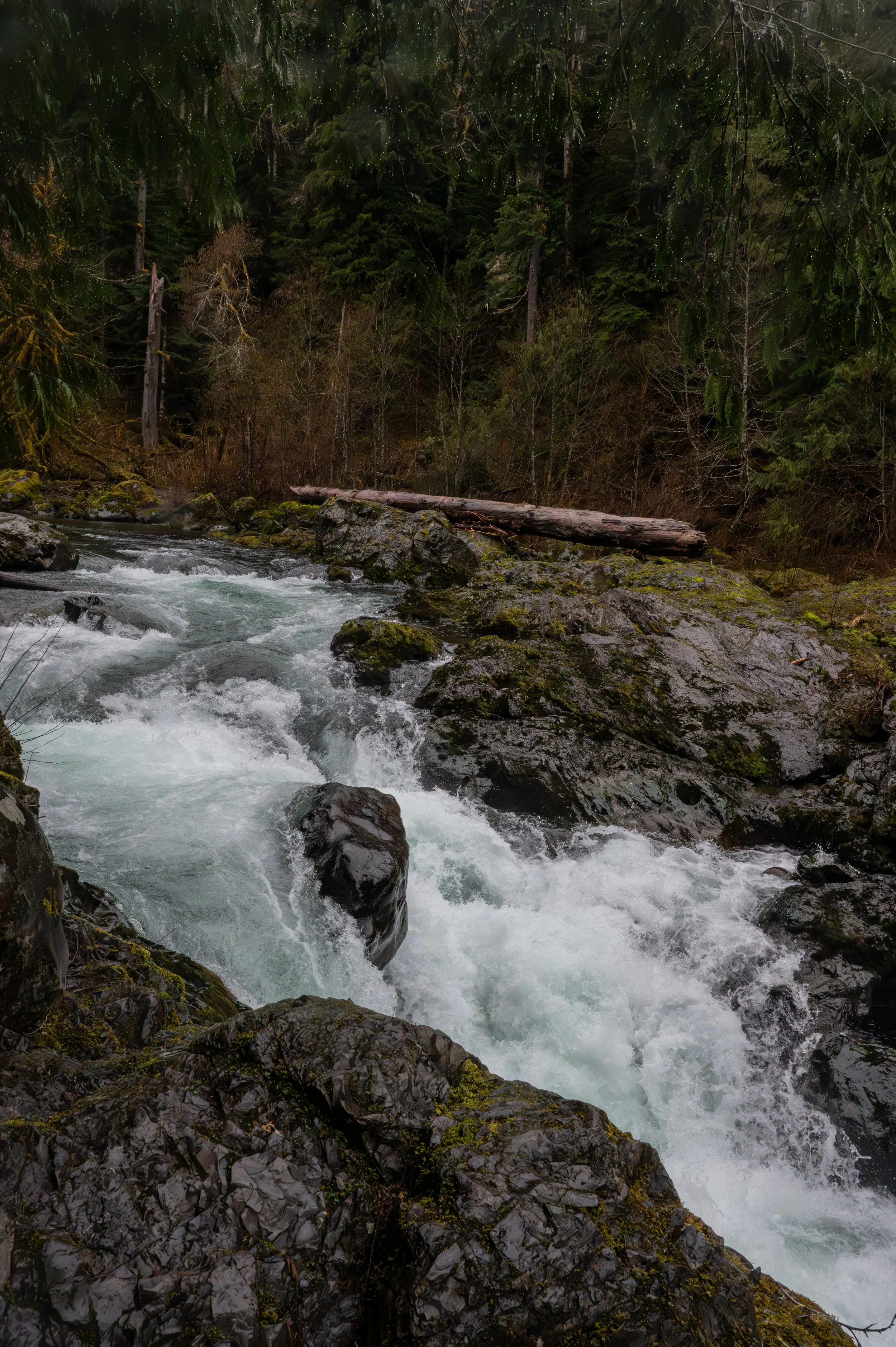 DSC_6628.jpg