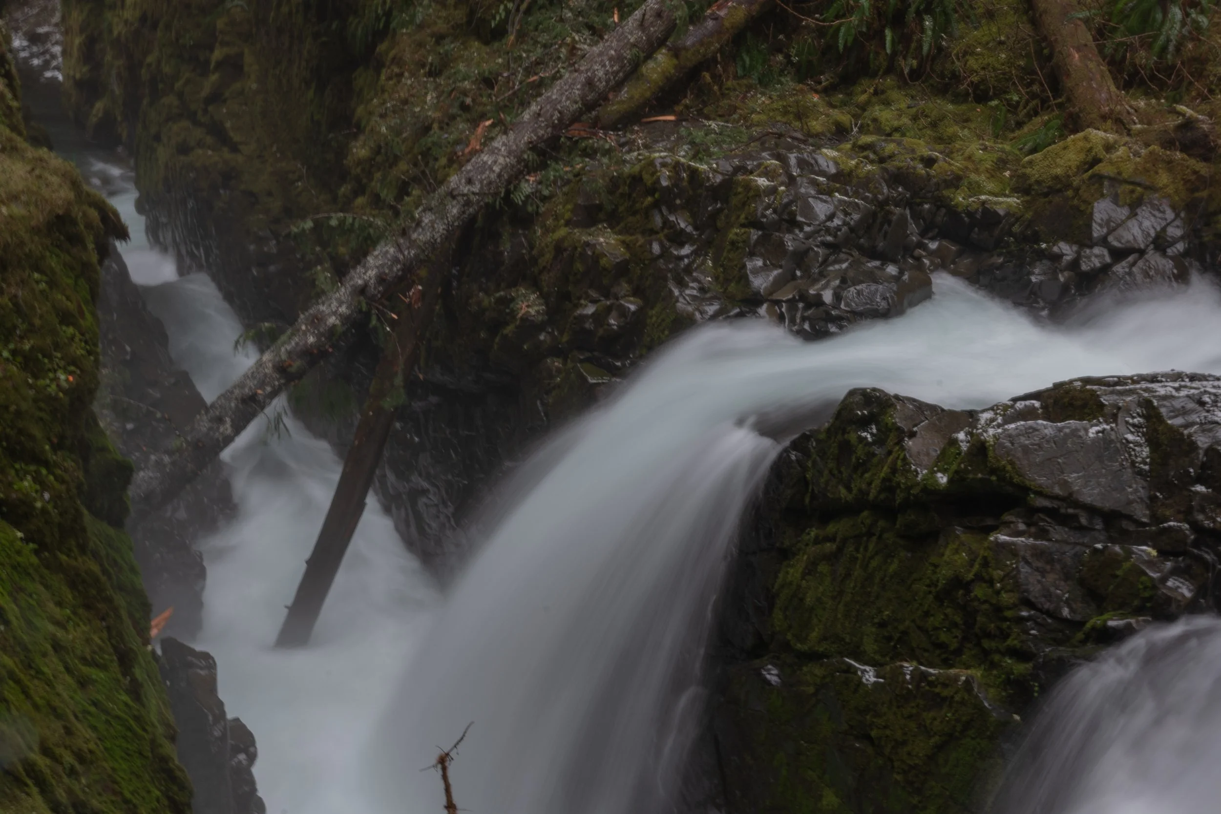 DSC_6713.jpg