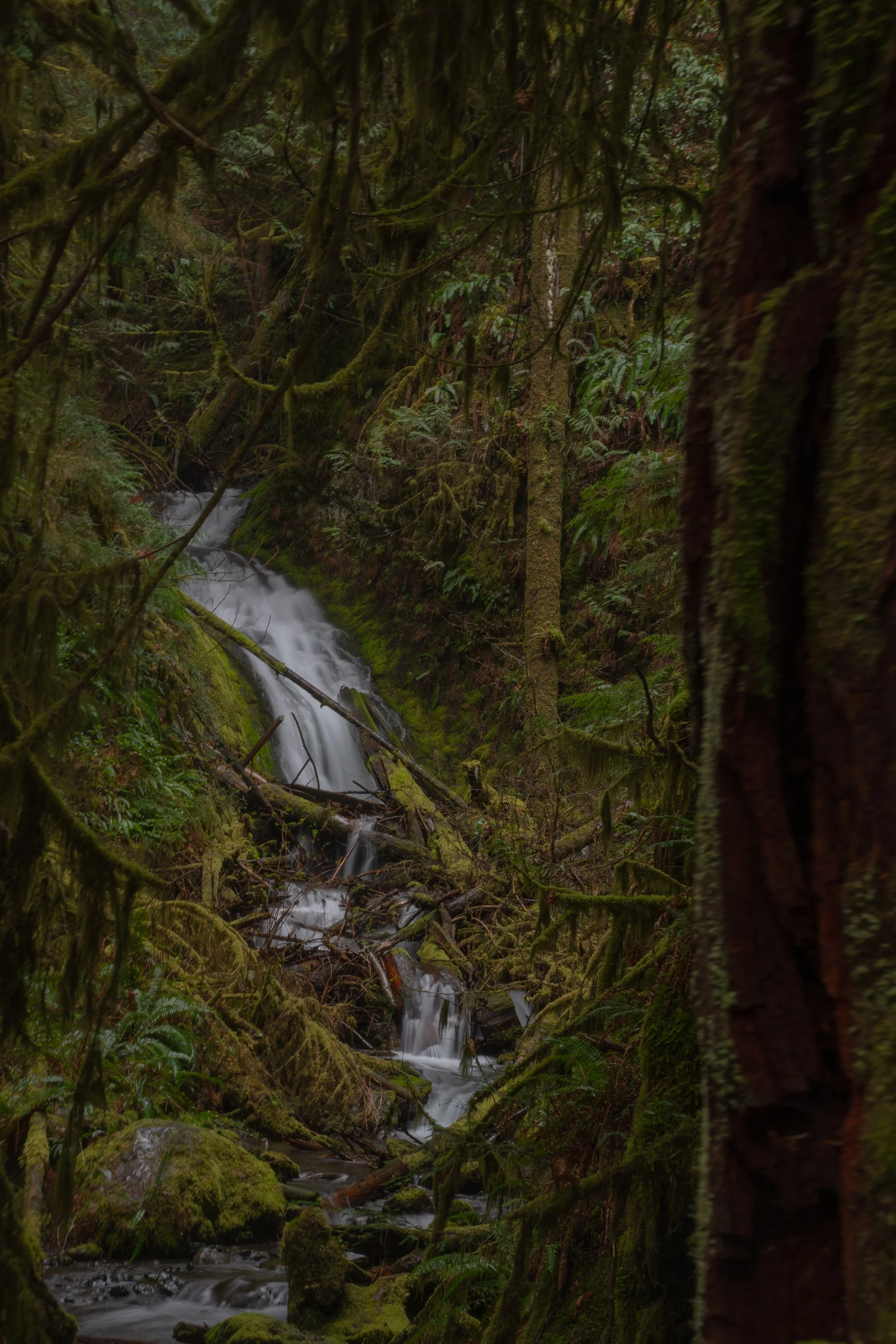 DSC_6623.jpg