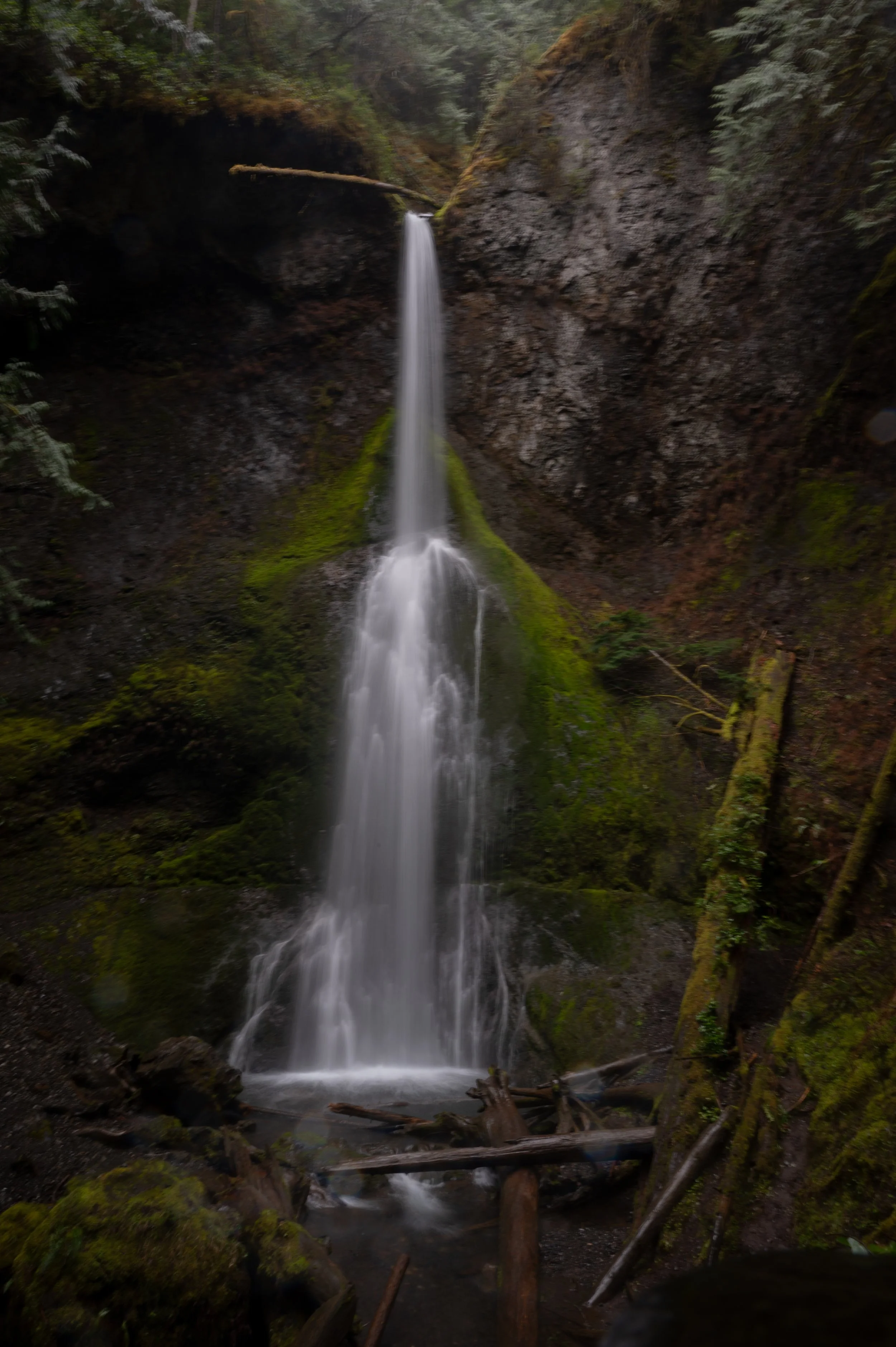DSC_6619.jpg