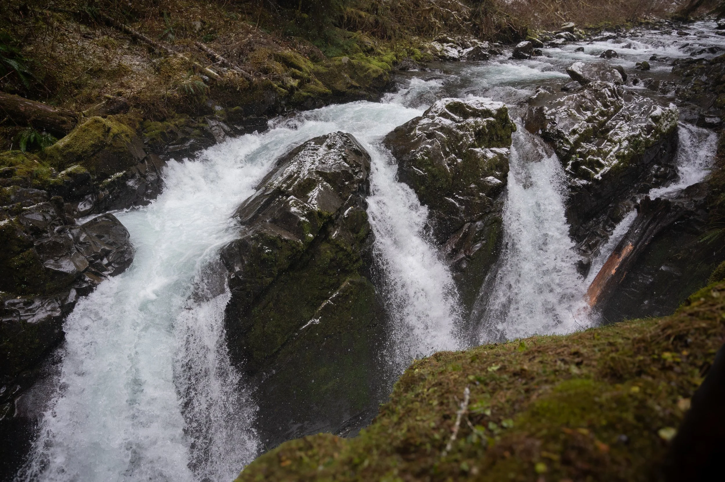 DSC_6710.jpg