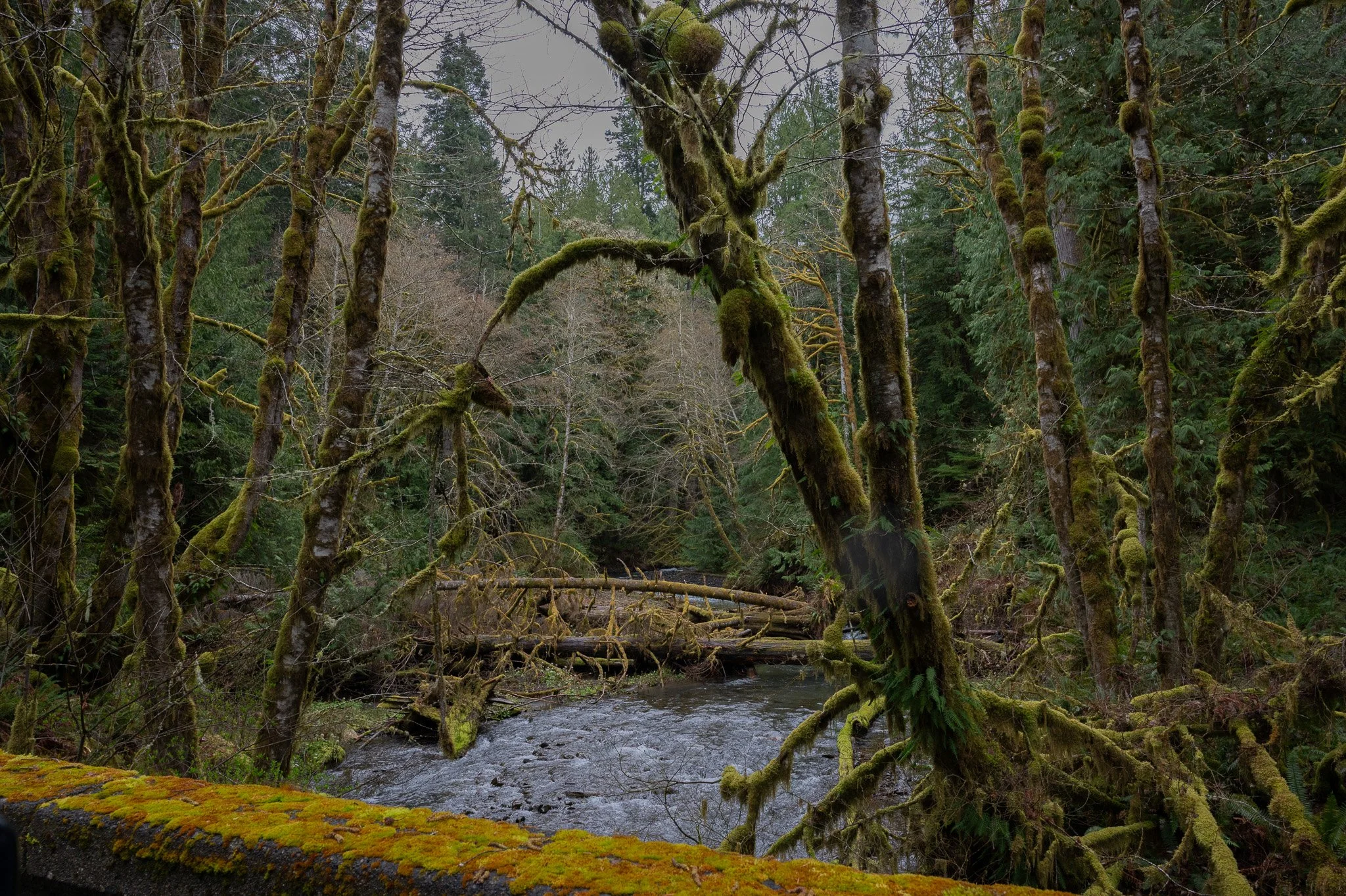 DSC_6576.jpg