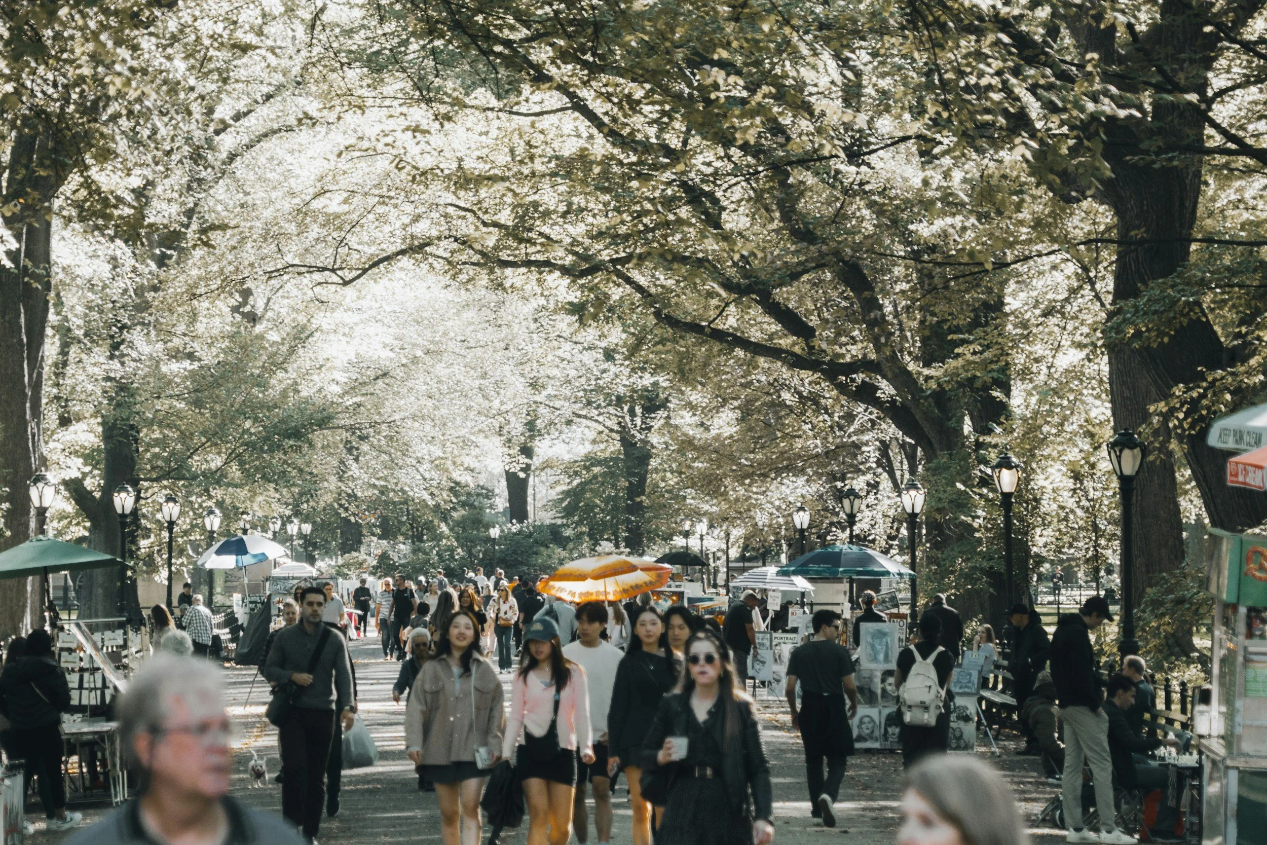 A busy outdoor park with large trees, street lamps, and vendors selling artwork, with many pedestrians walking and browsing under a sunlight-dappled canopy.