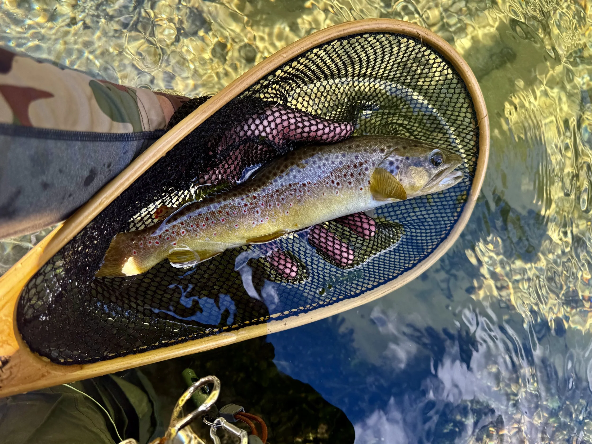September Newsletter Technical Tip: Steamer Fishing Small Streams
