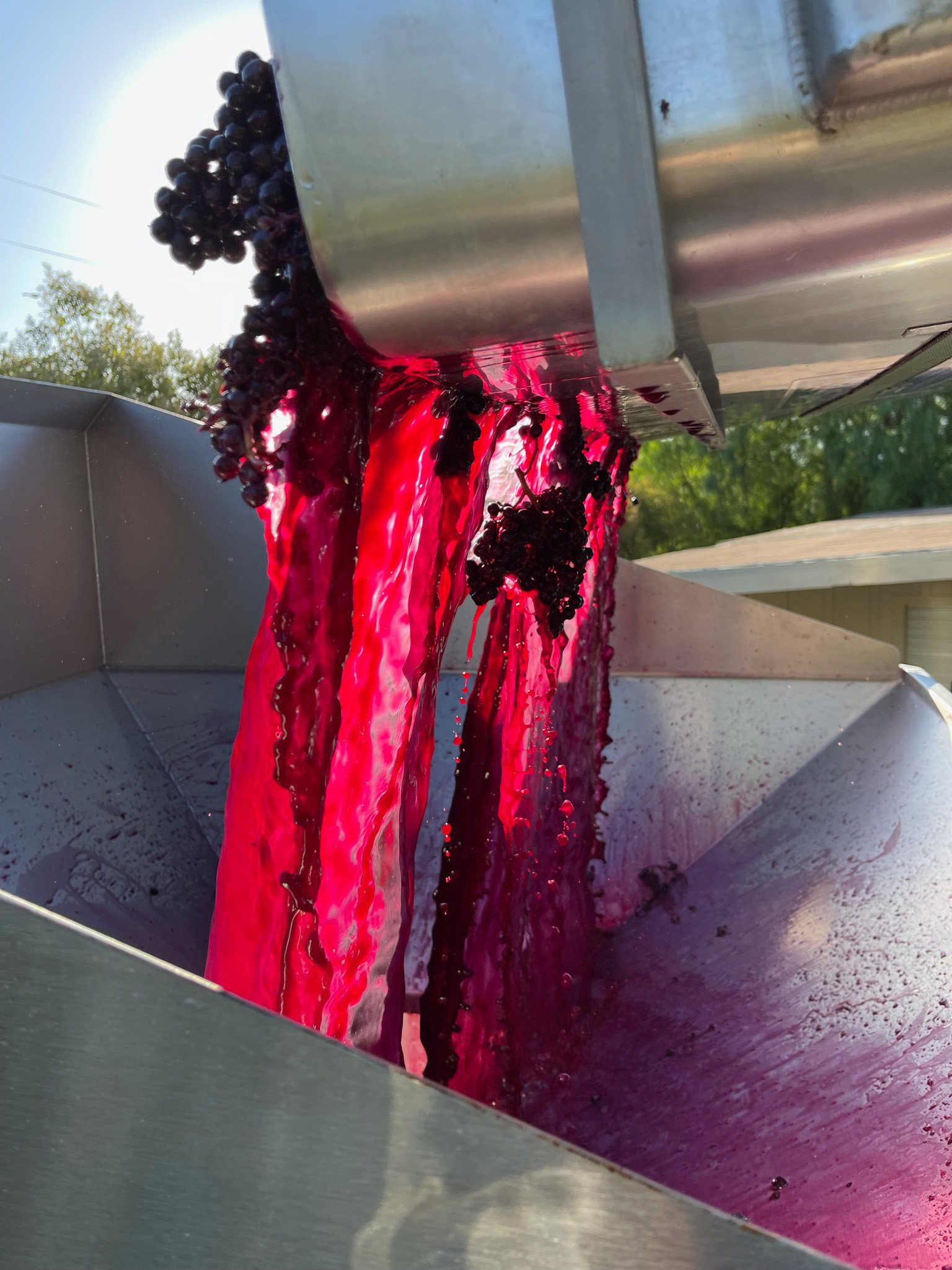 1-Copy of IMG_1407.jpg