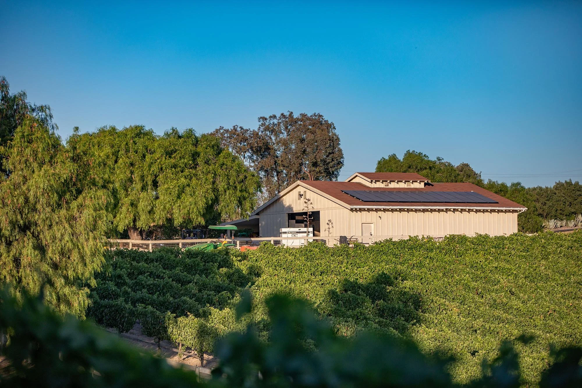 3-Winery from house.jpeg