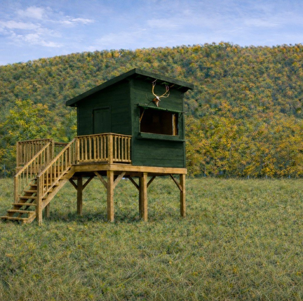 Rack Shack - very early Fall.jpeg