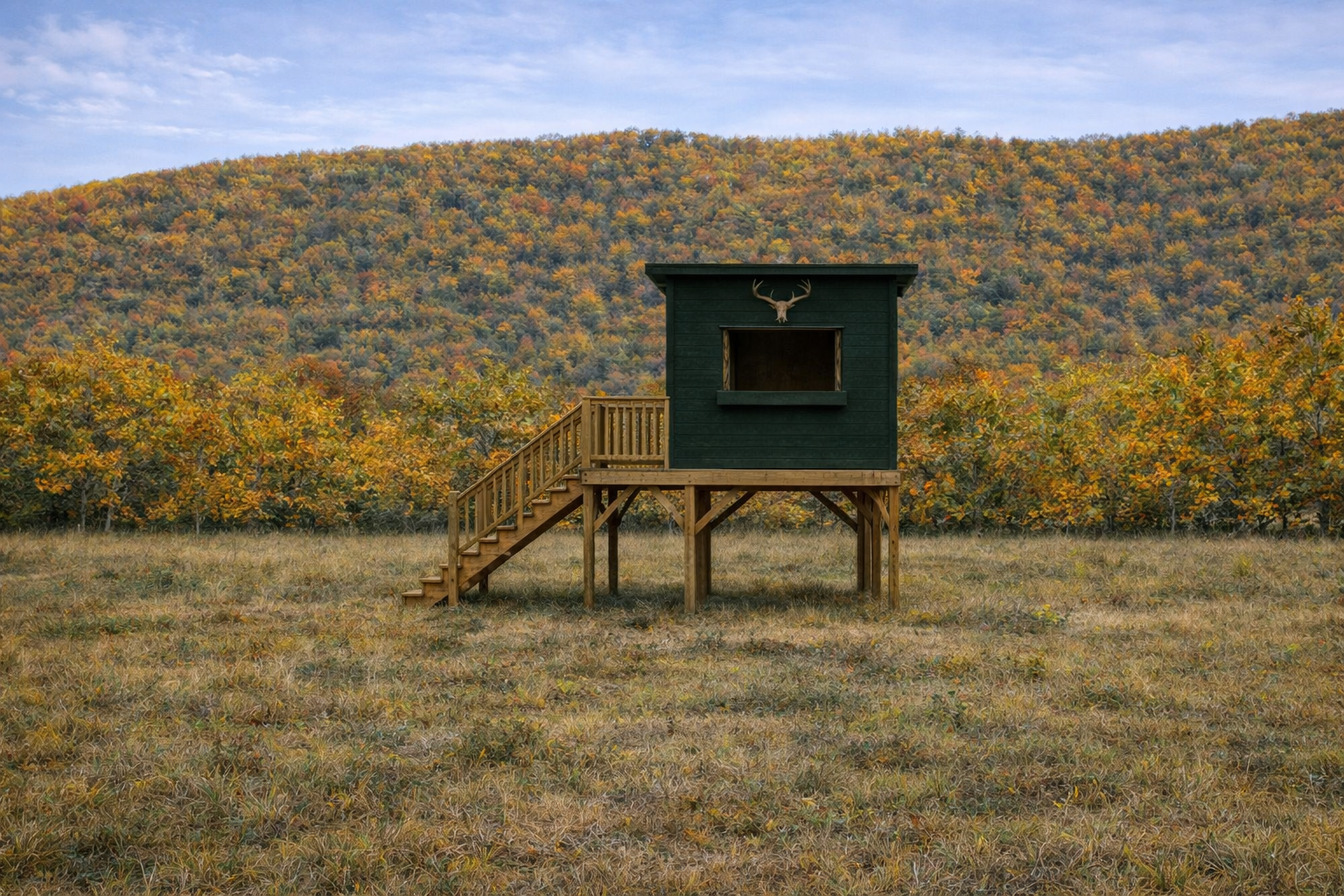 Rack Shack - window facing.png