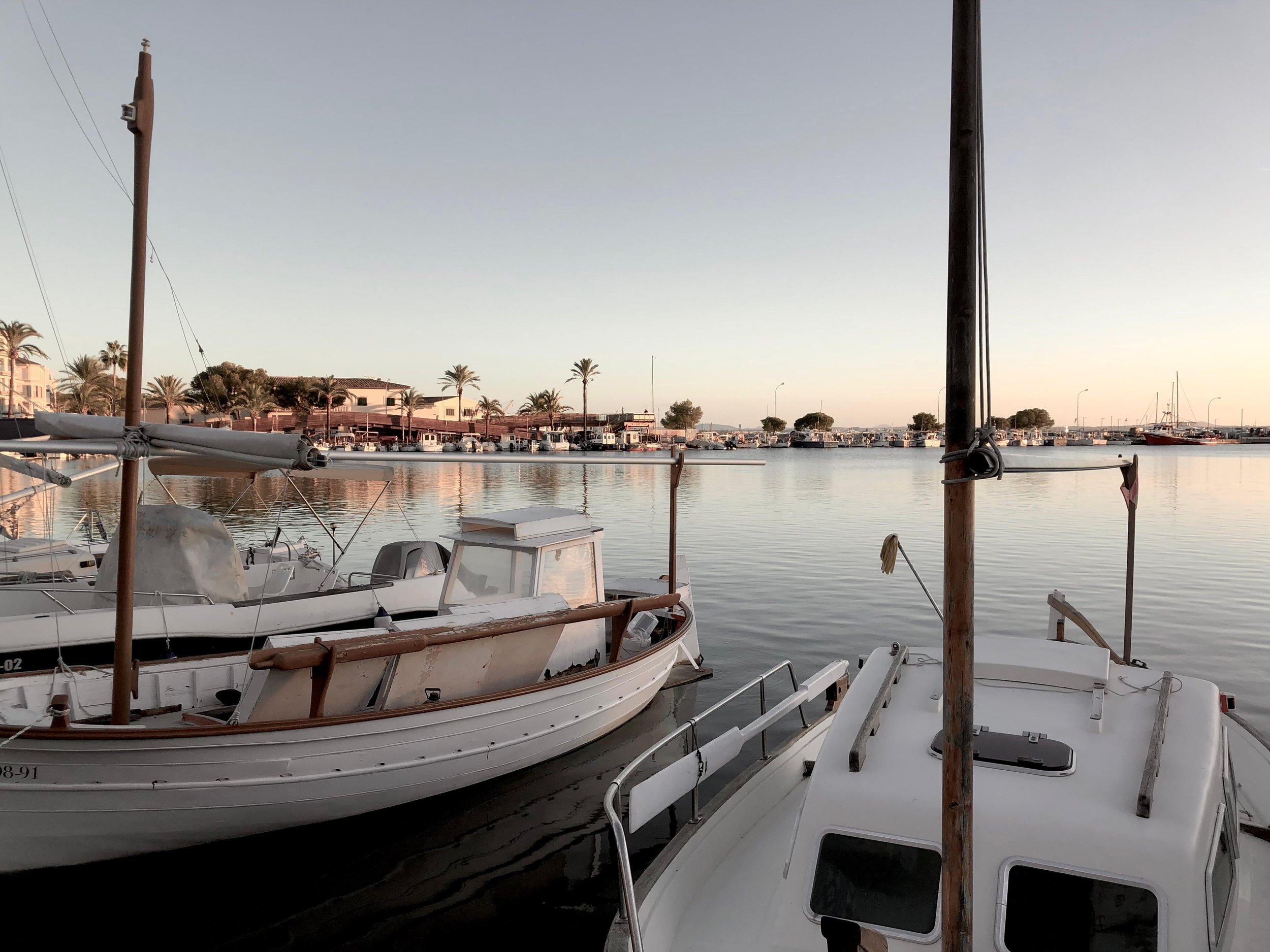 View of a marina with boats docked, calm water, palm trees, and buildings in the background during sunset.