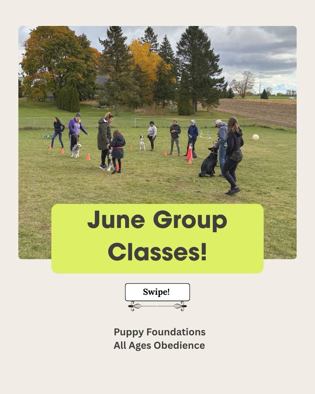 Hi friends! Mark your calendars for our upcoming classes ➡️ June 20th! 

Whether you&rsquo;re looking to improve your relationship with your dog, create more reliability in their training, or just have fun learning together alongside other passionate