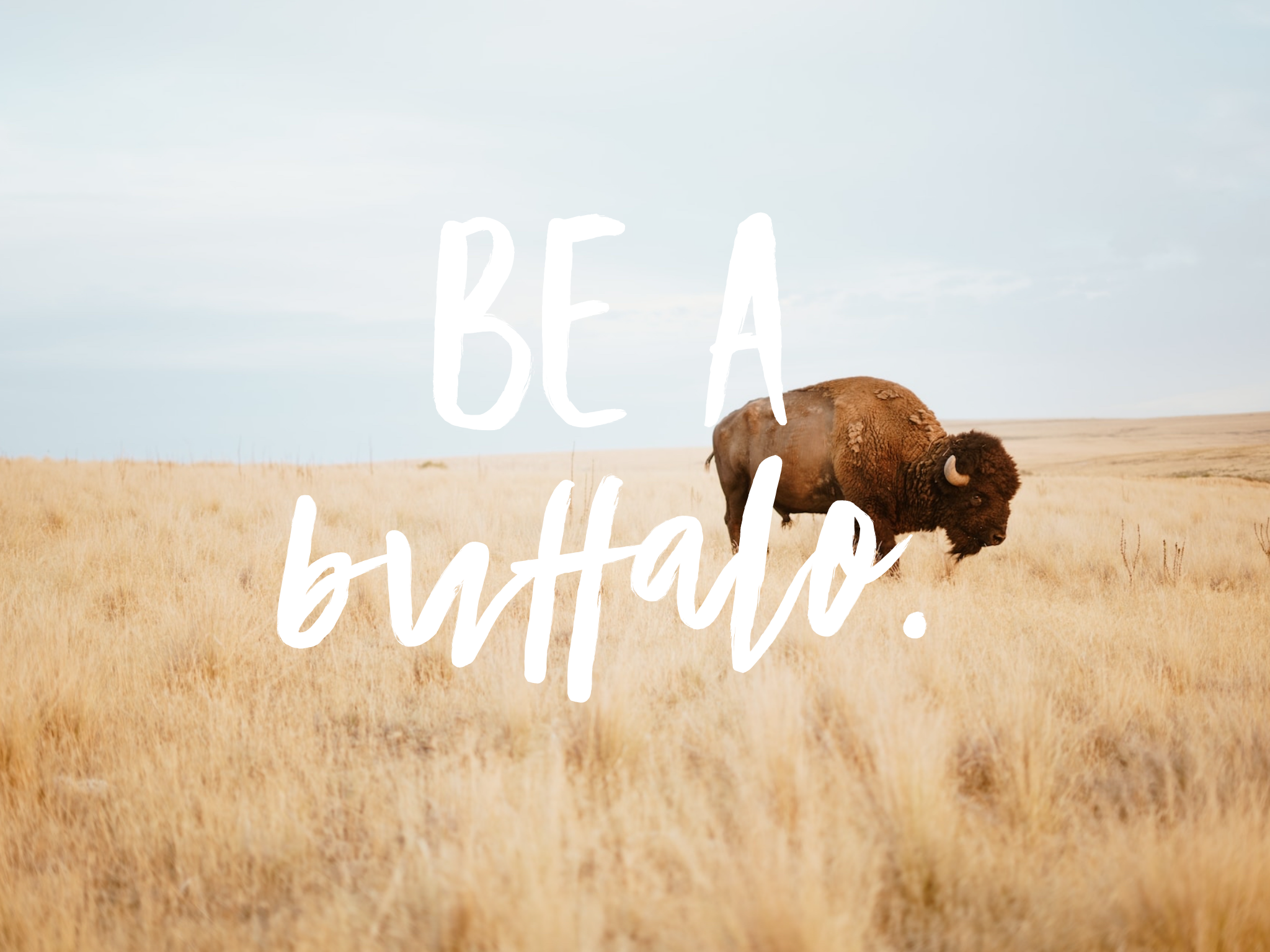 #62: Moving Towards Divorce - Part 1