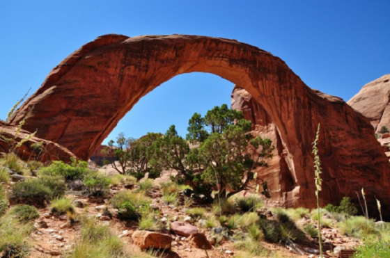 Bridging the Gap between Bitterness and Freedom - Forgiveness