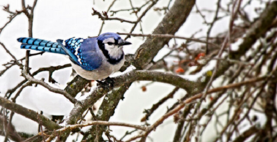 Embracing winter and using it to my advantage in practicing self-care