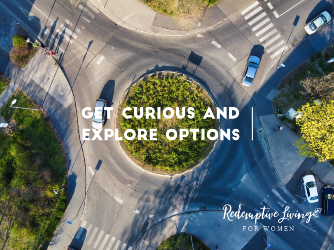 Exploring Options and Partial Solutions