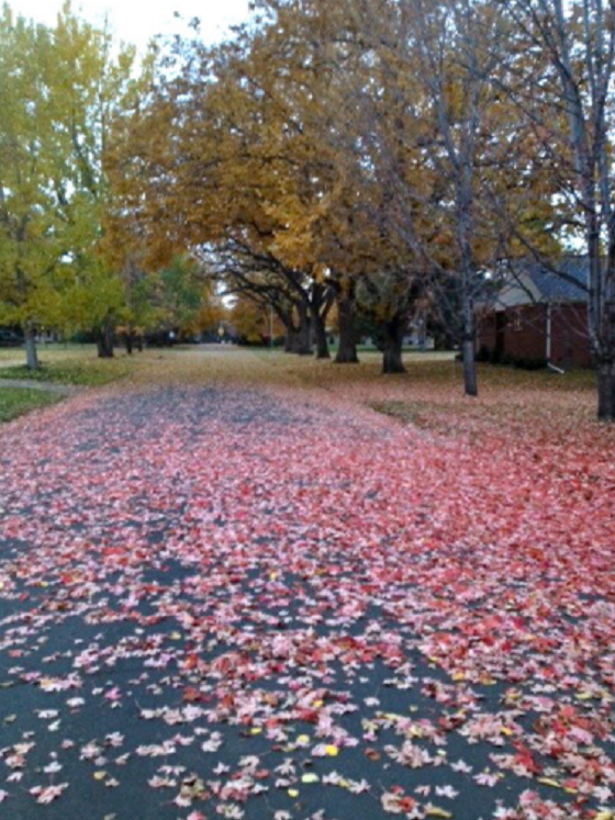 Memories of the Past